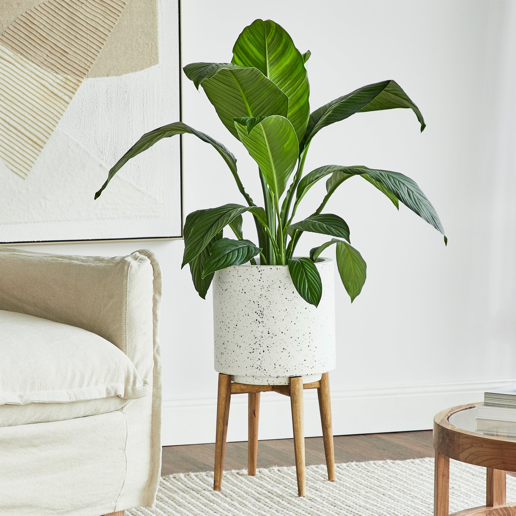 furniture, mirror, and home decor