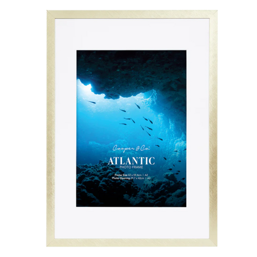 Bold Profile Metal Frames