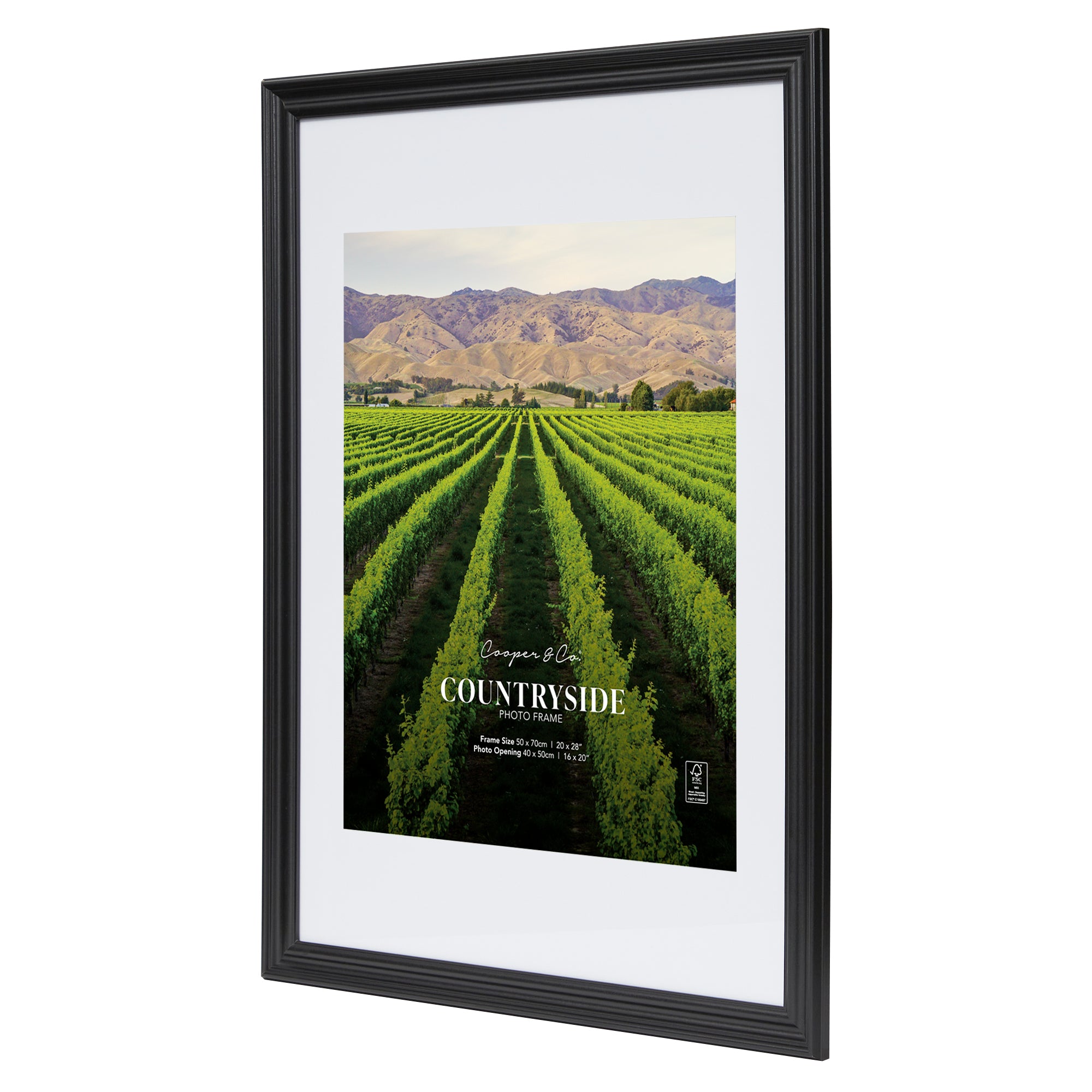 furniture, mirror, and home decor