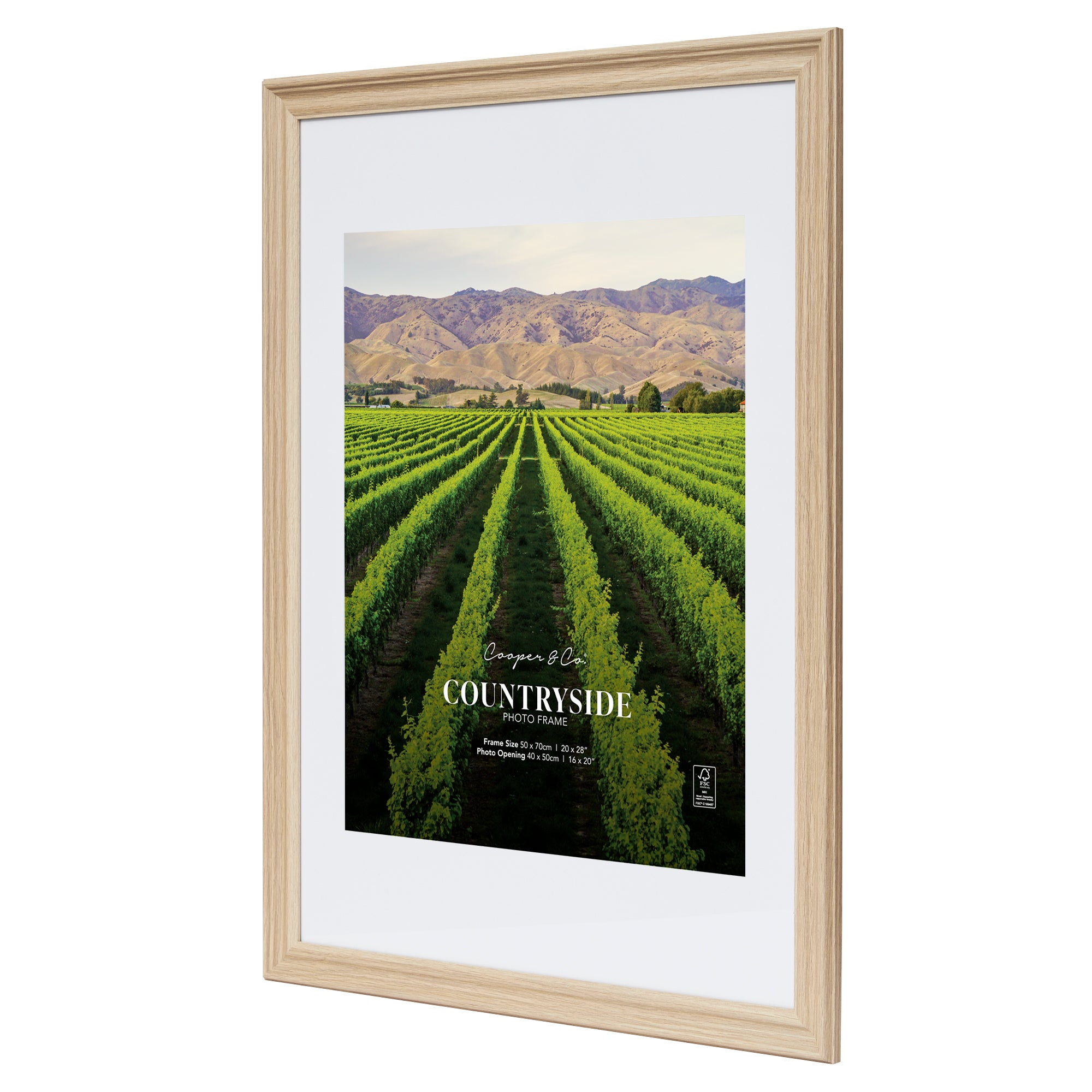 furniture, mirror, and home decor