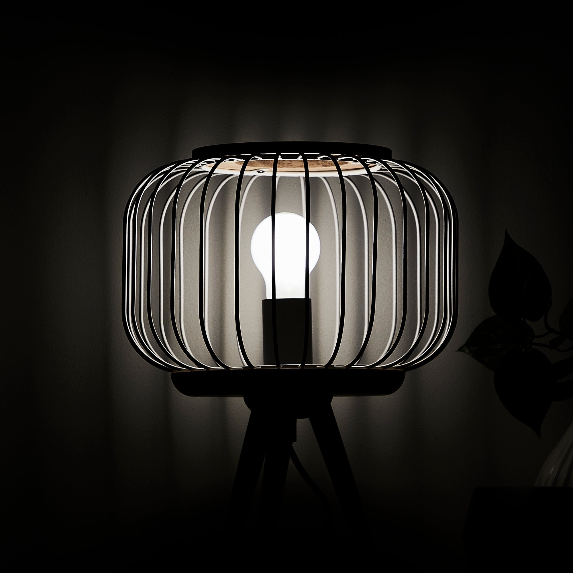 furniture, mirror, and home decor