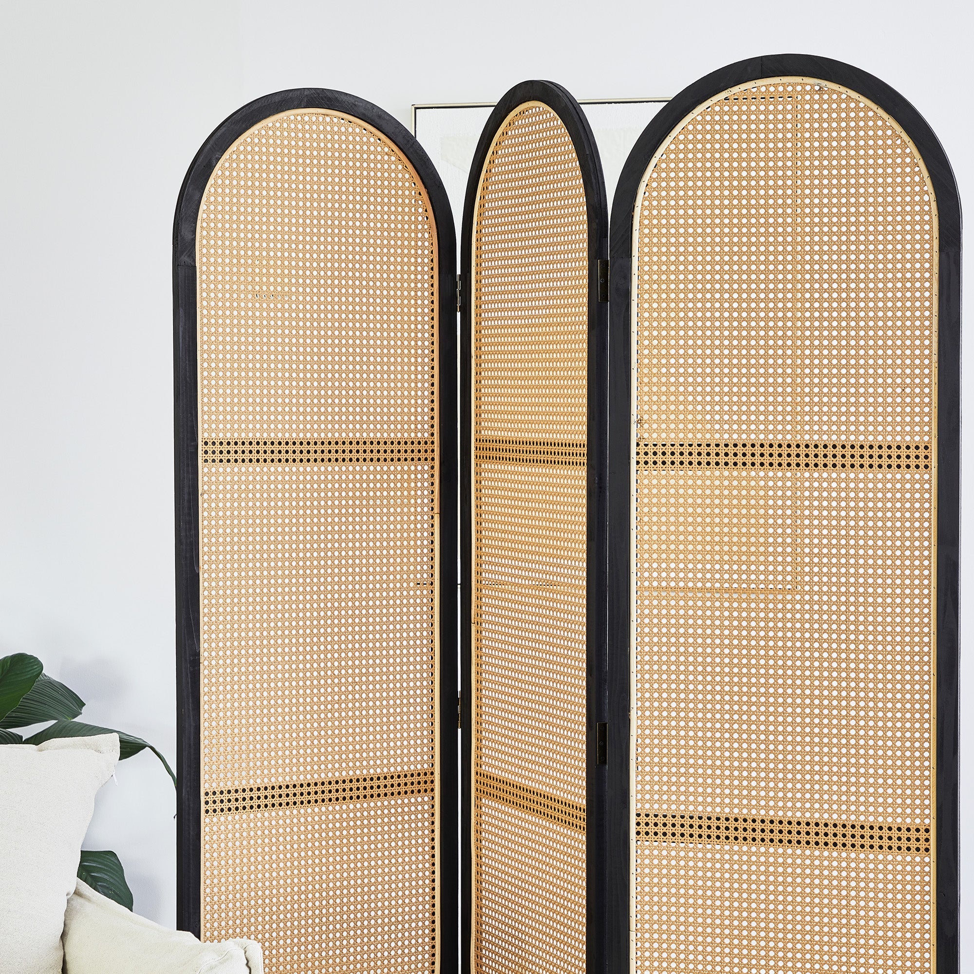 furniture, mirror, and home decor