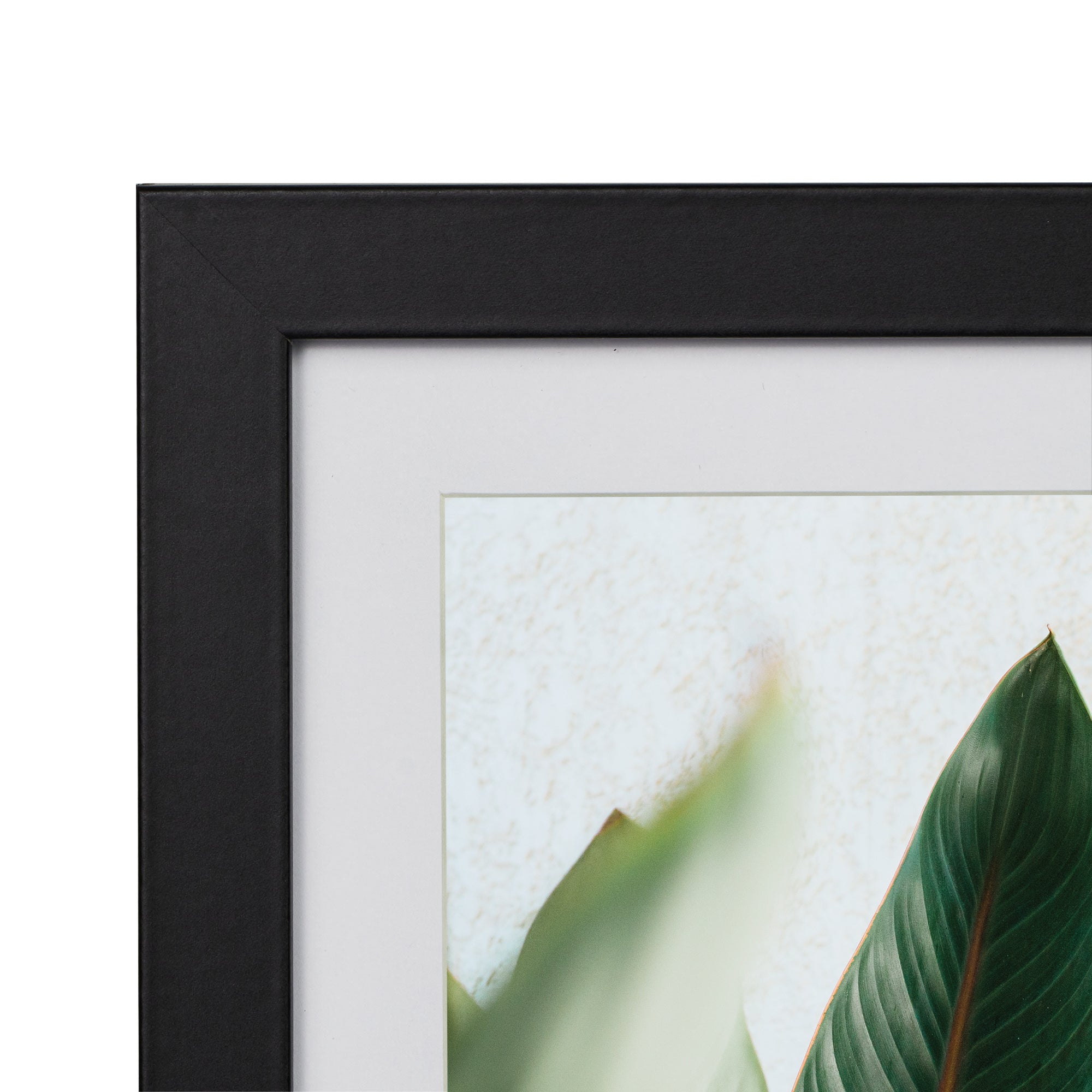 furniture, mirror, and home decor