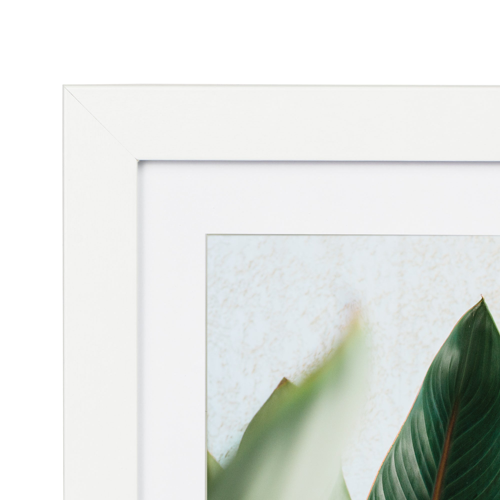 furniture, mirror, and home decor