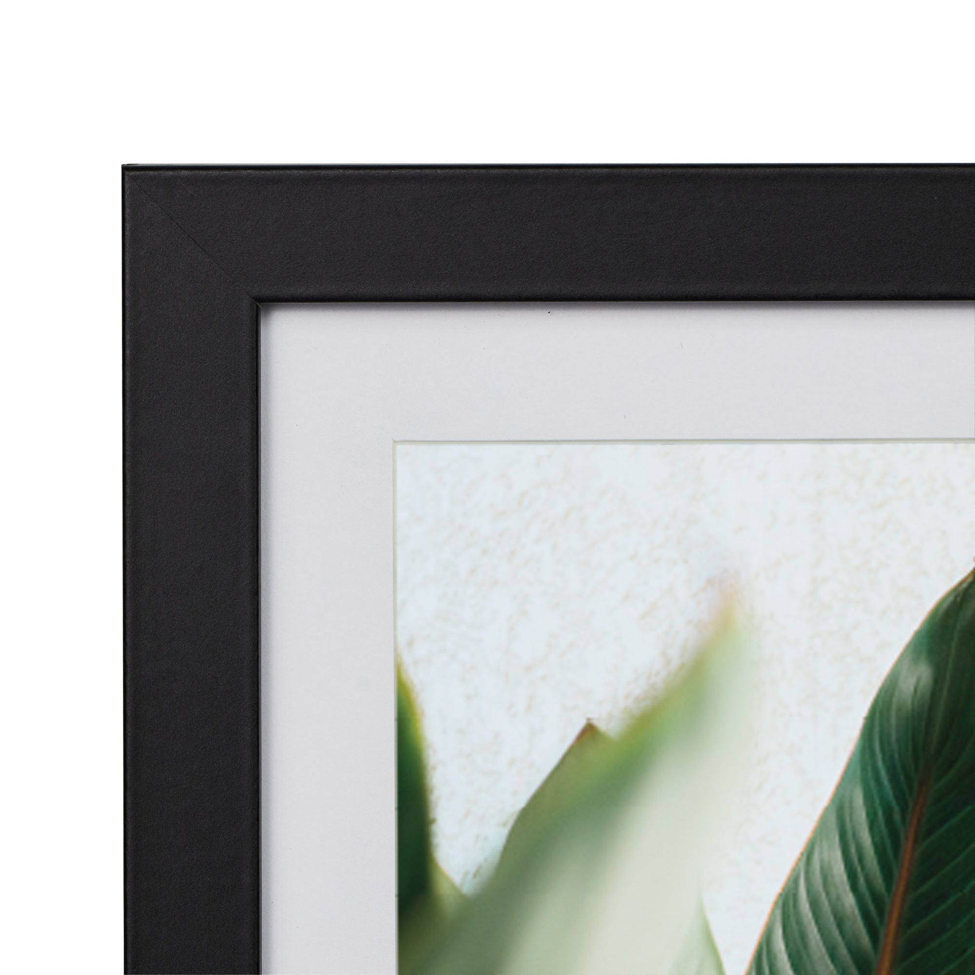 furniture, mirror, and home decor