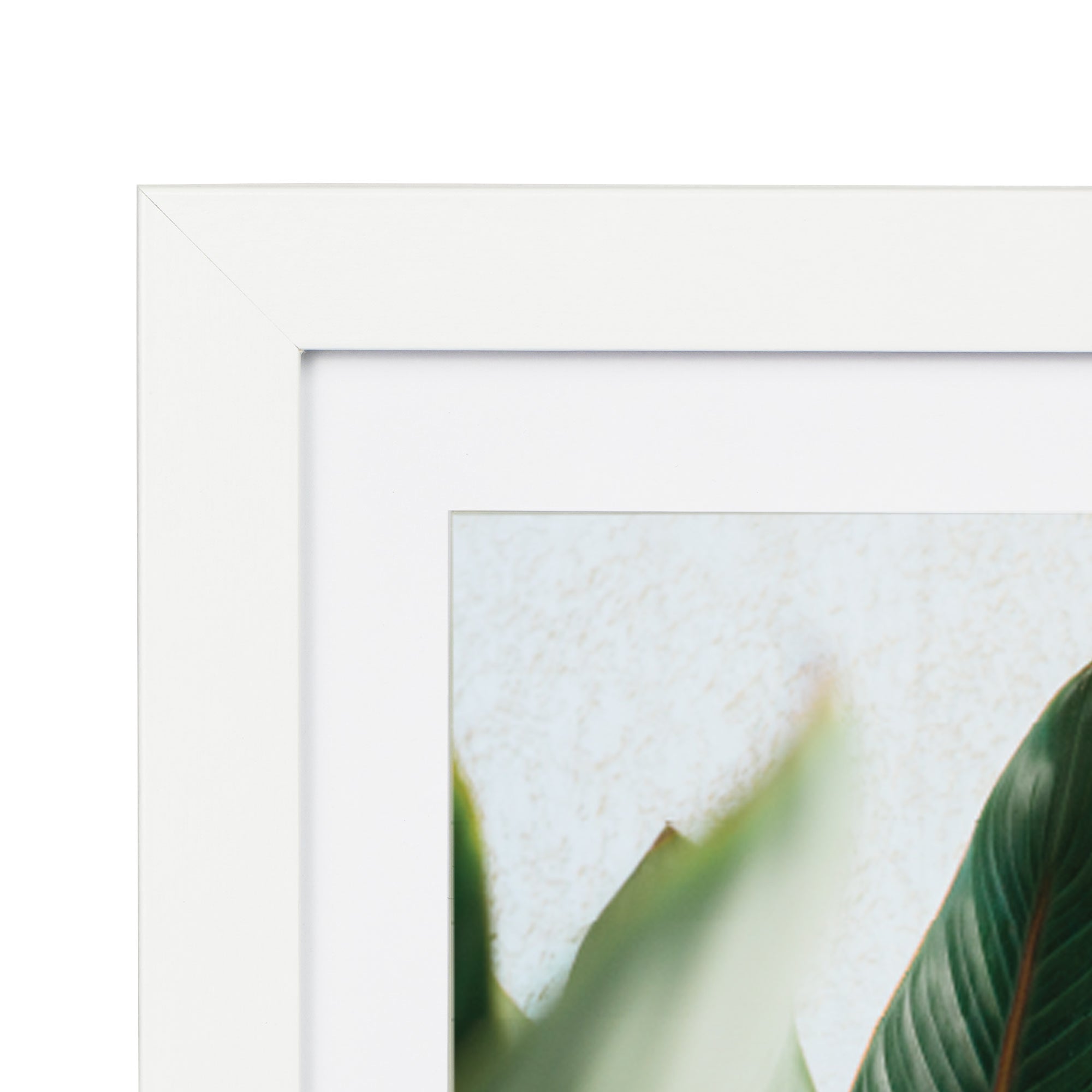 furniture, mirror, and home decor