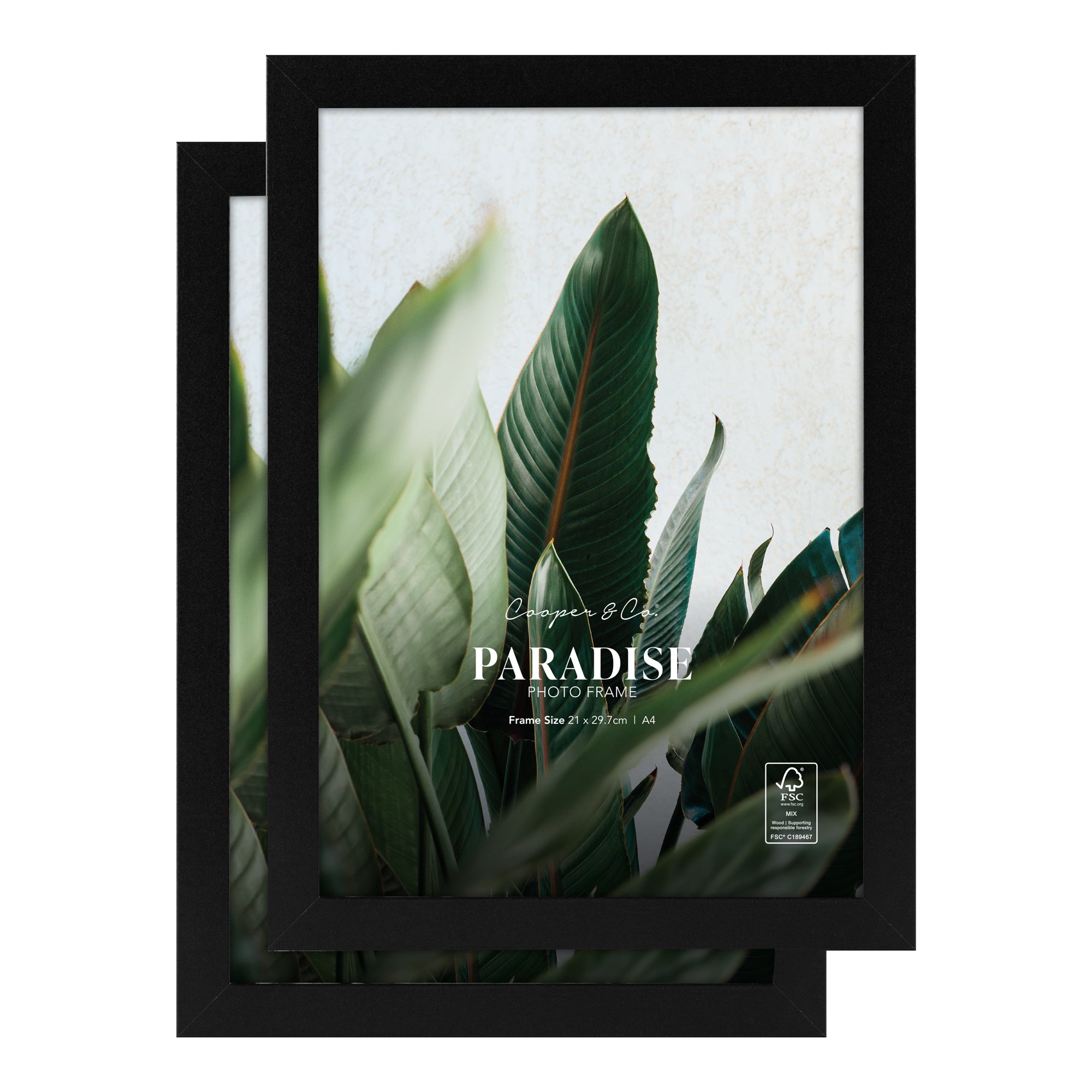 furniture, mirror, and home decor