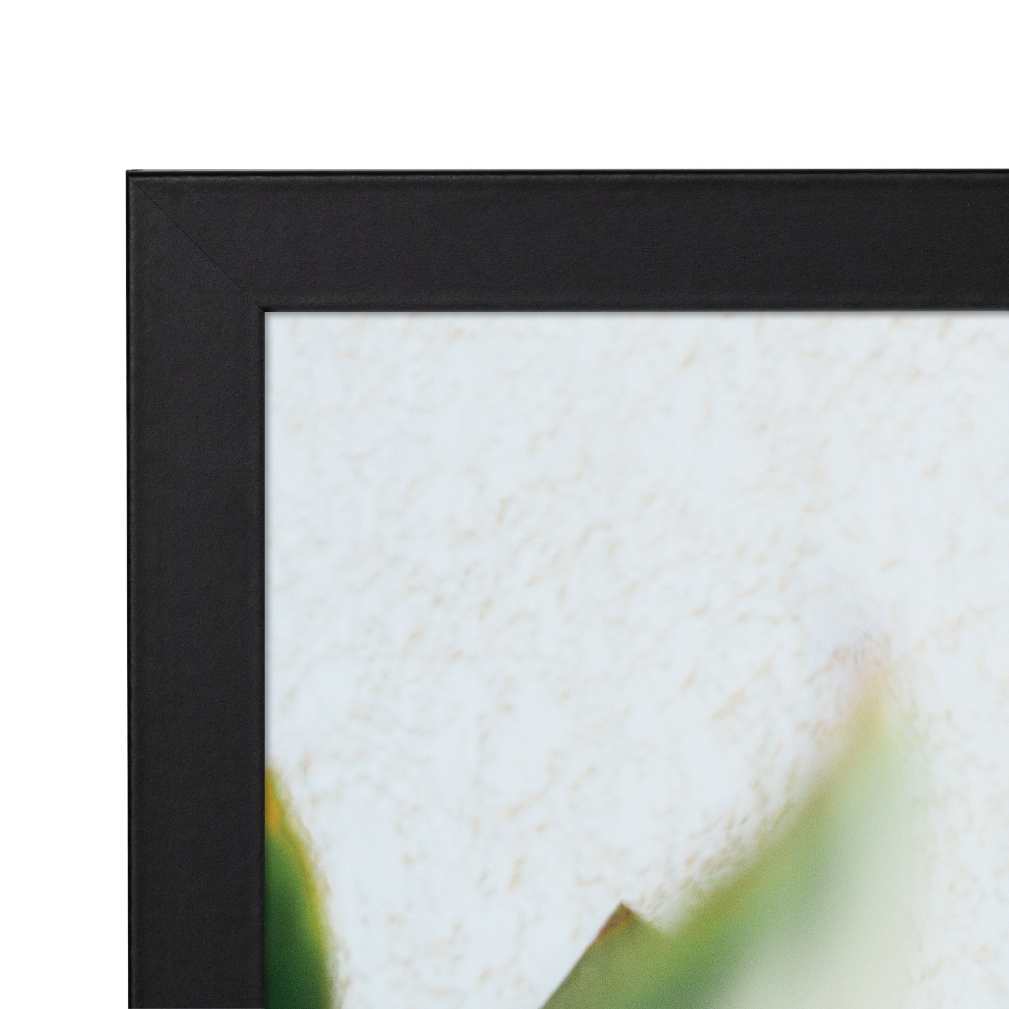 furniture, mirror, and home decor