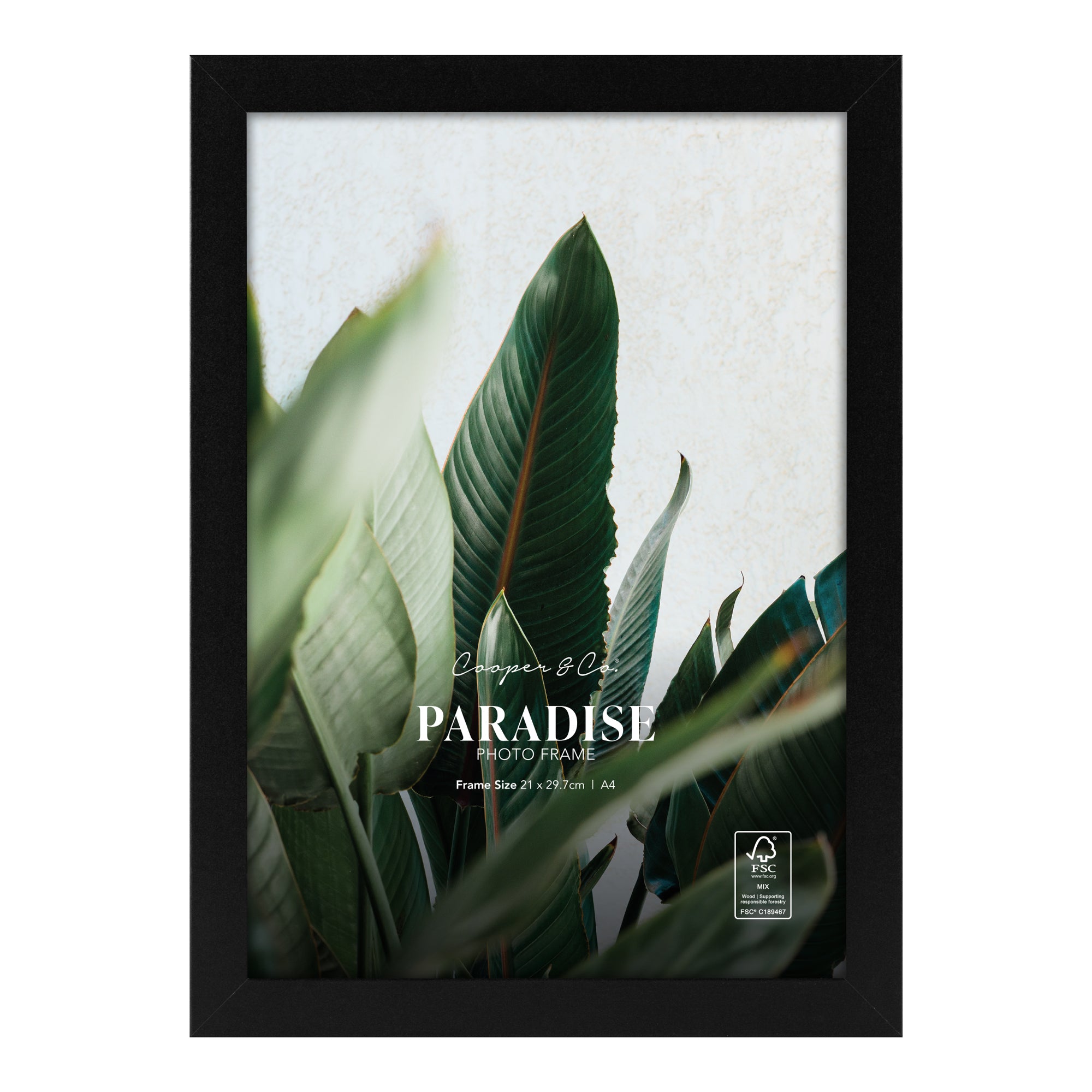 furniture, mirror, and home decor