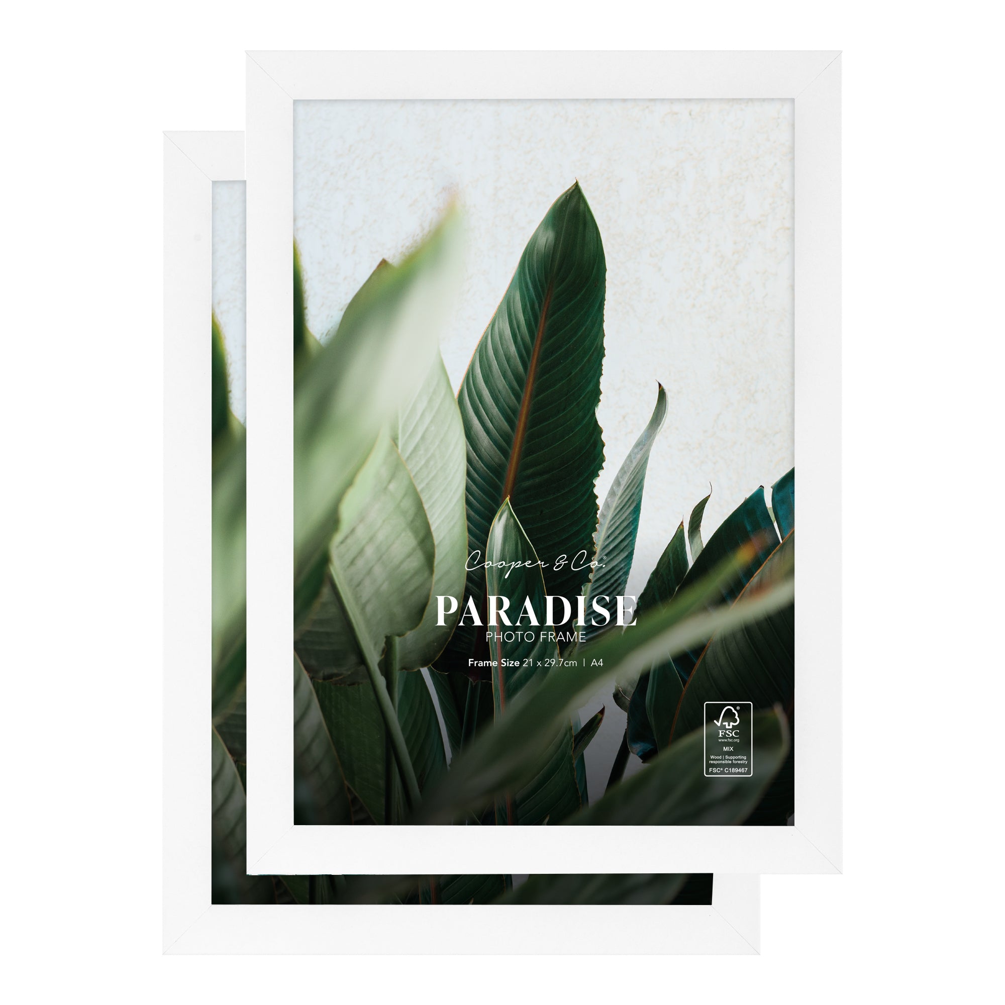 furniture, mirror, and home decor