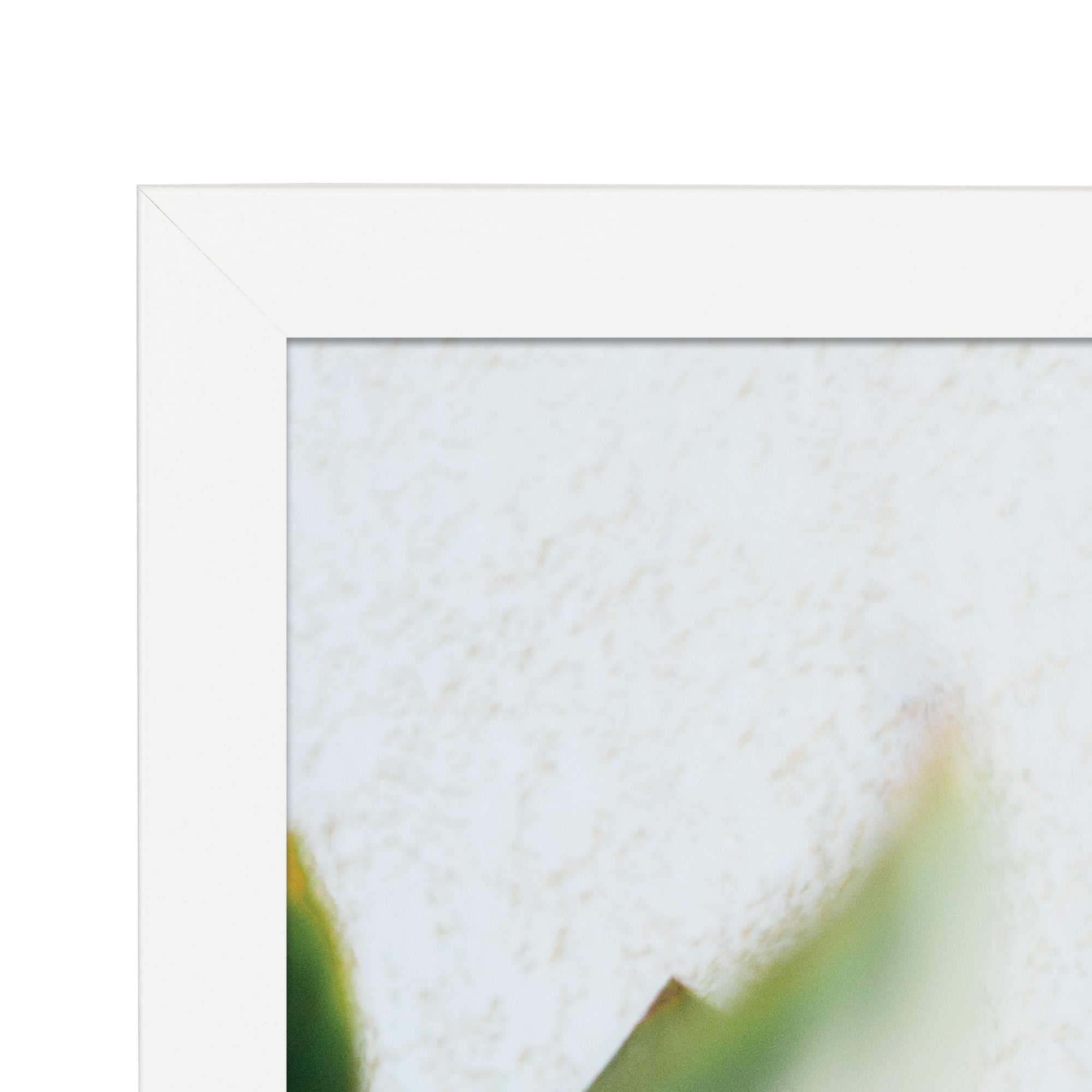 furniture, mirror, and home decor