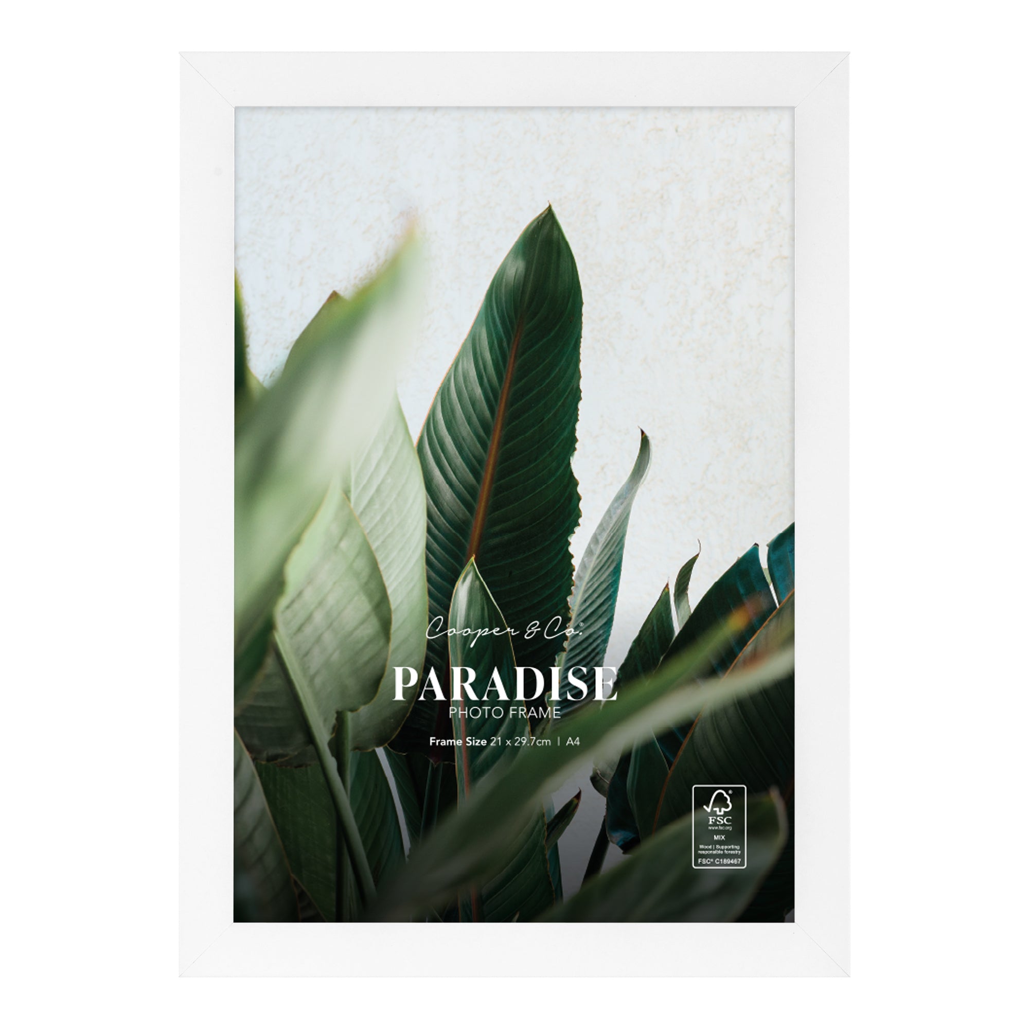 furniture, mirror, and home decor