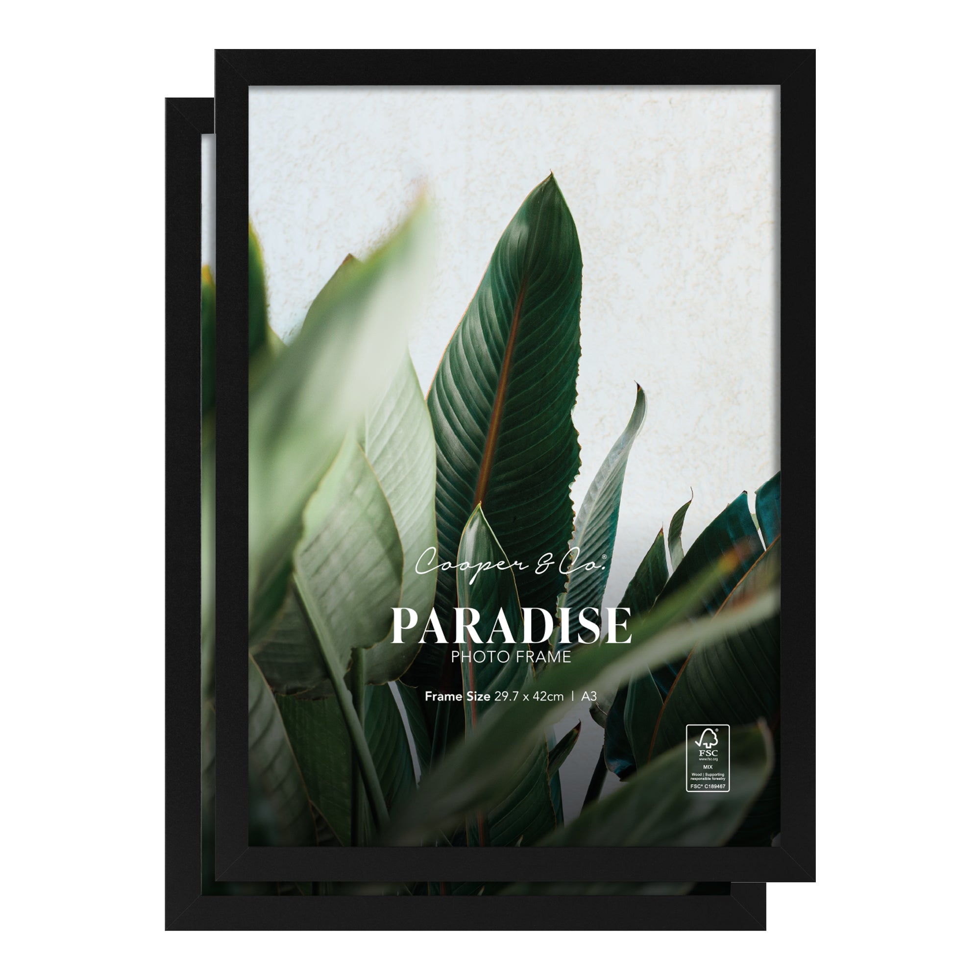 furniture, mirror, and home decor