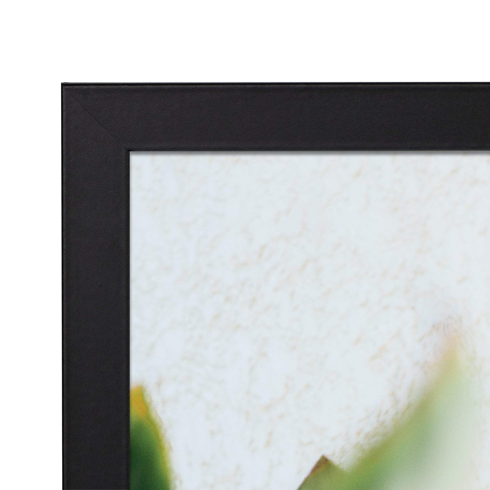 furniture, mirror, and home decor