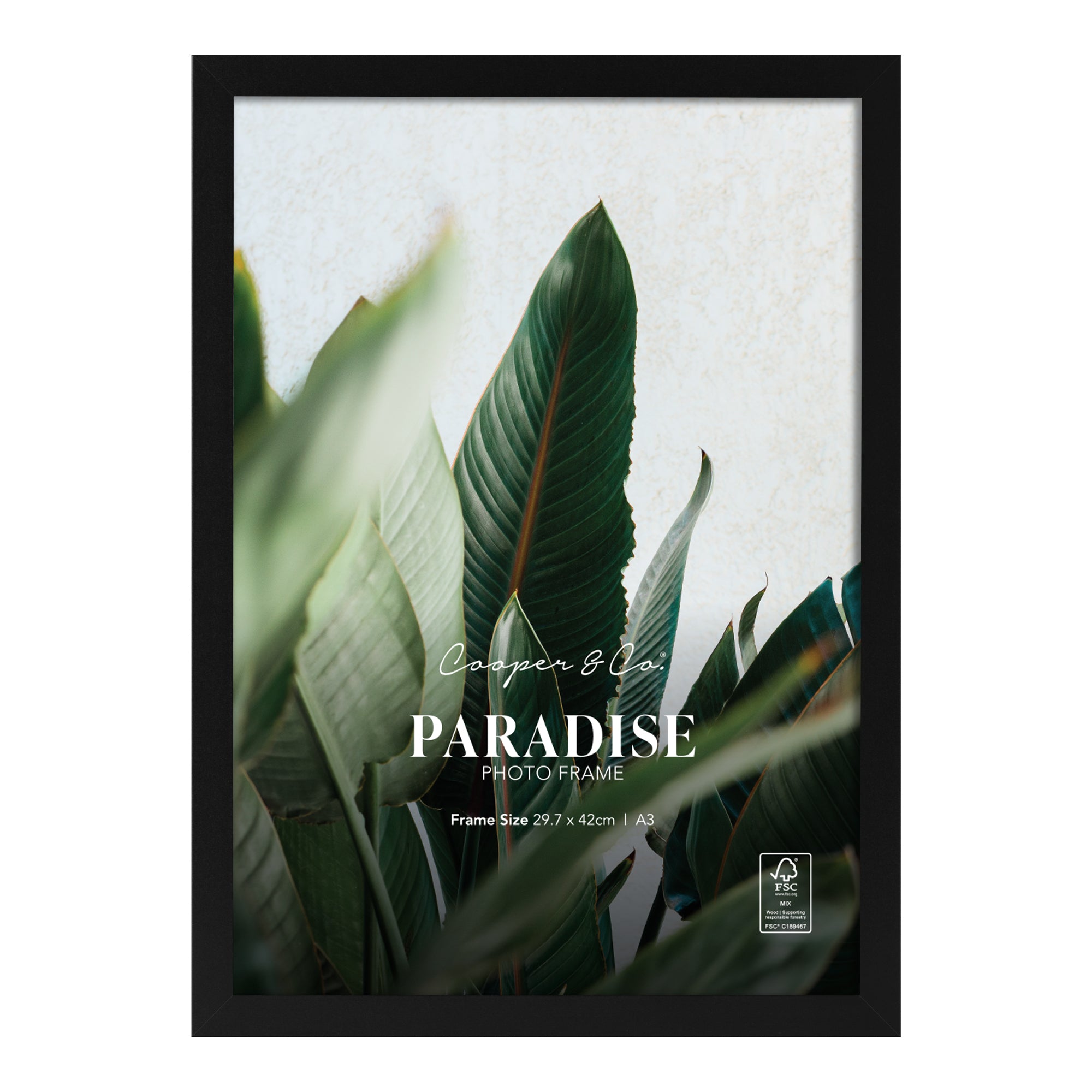 furniture, mirror, and home decor