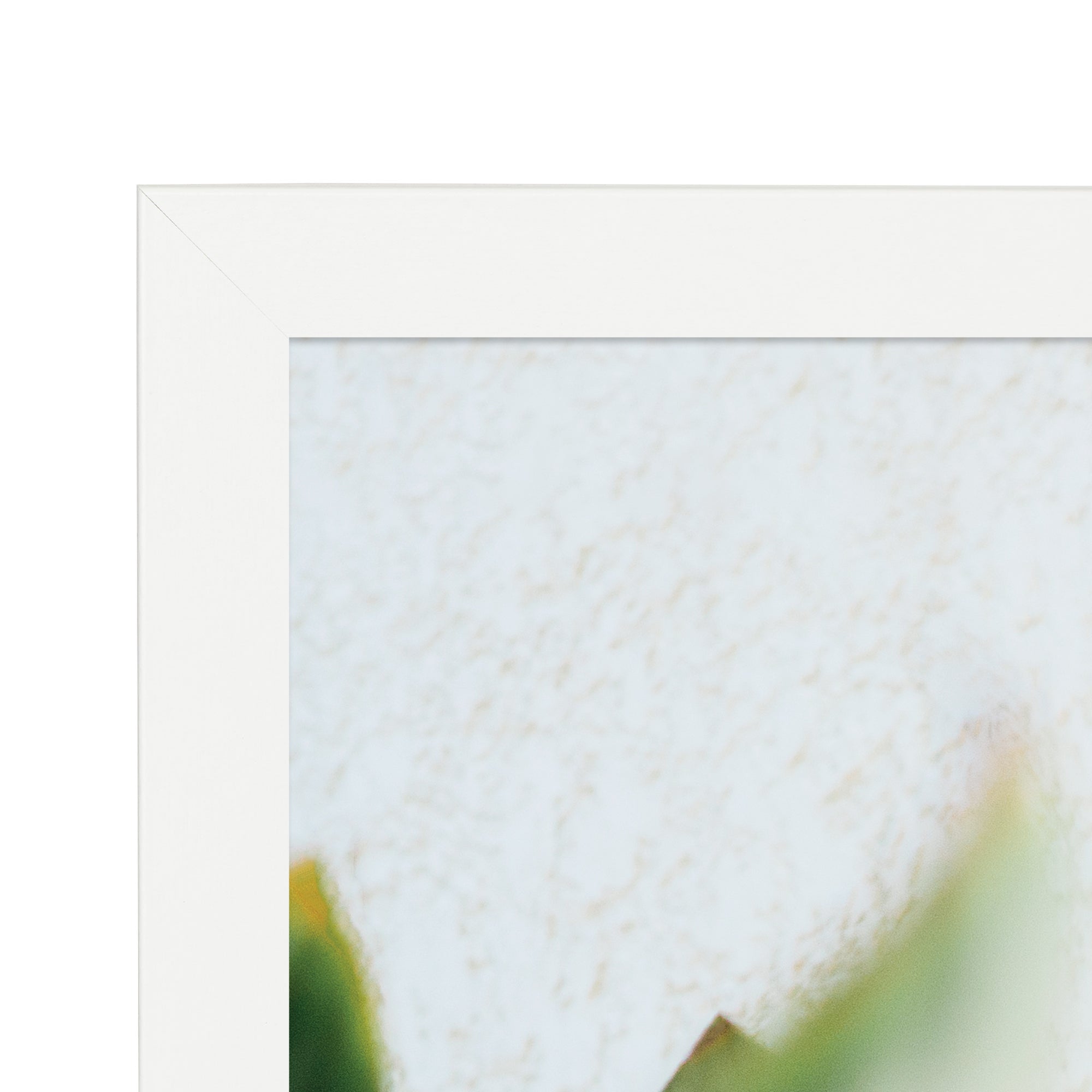 furniture, mirror, and home decor