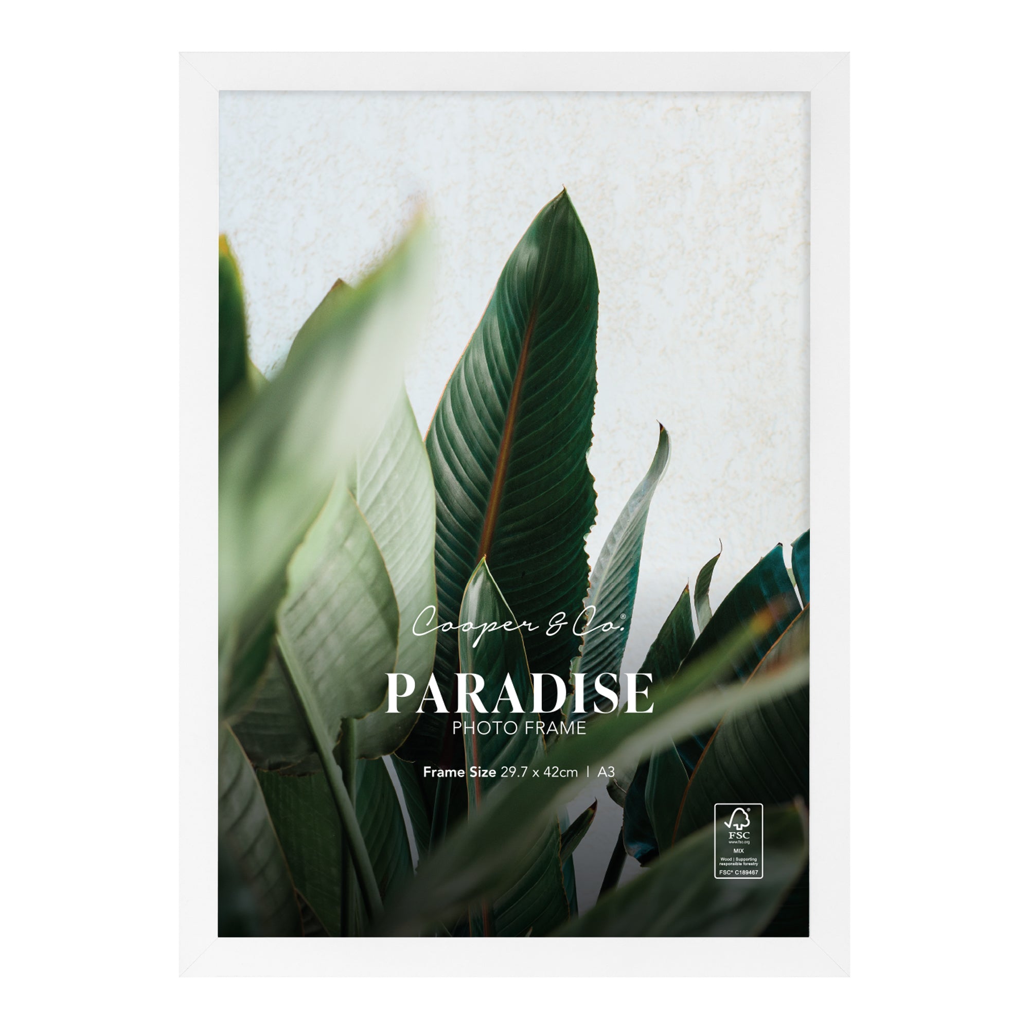 furniture, mirror, and home decor