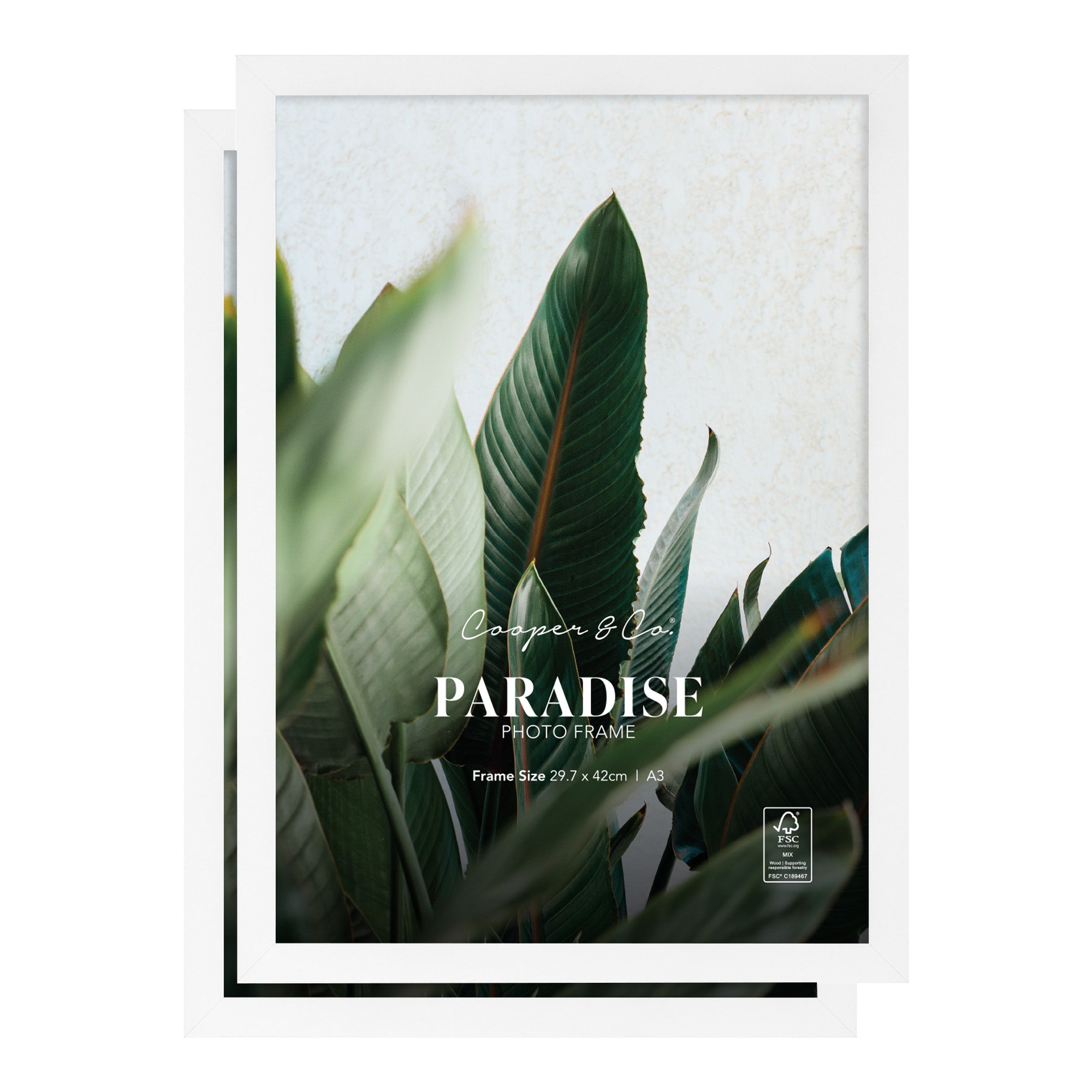 furniture, mirror, and home decor