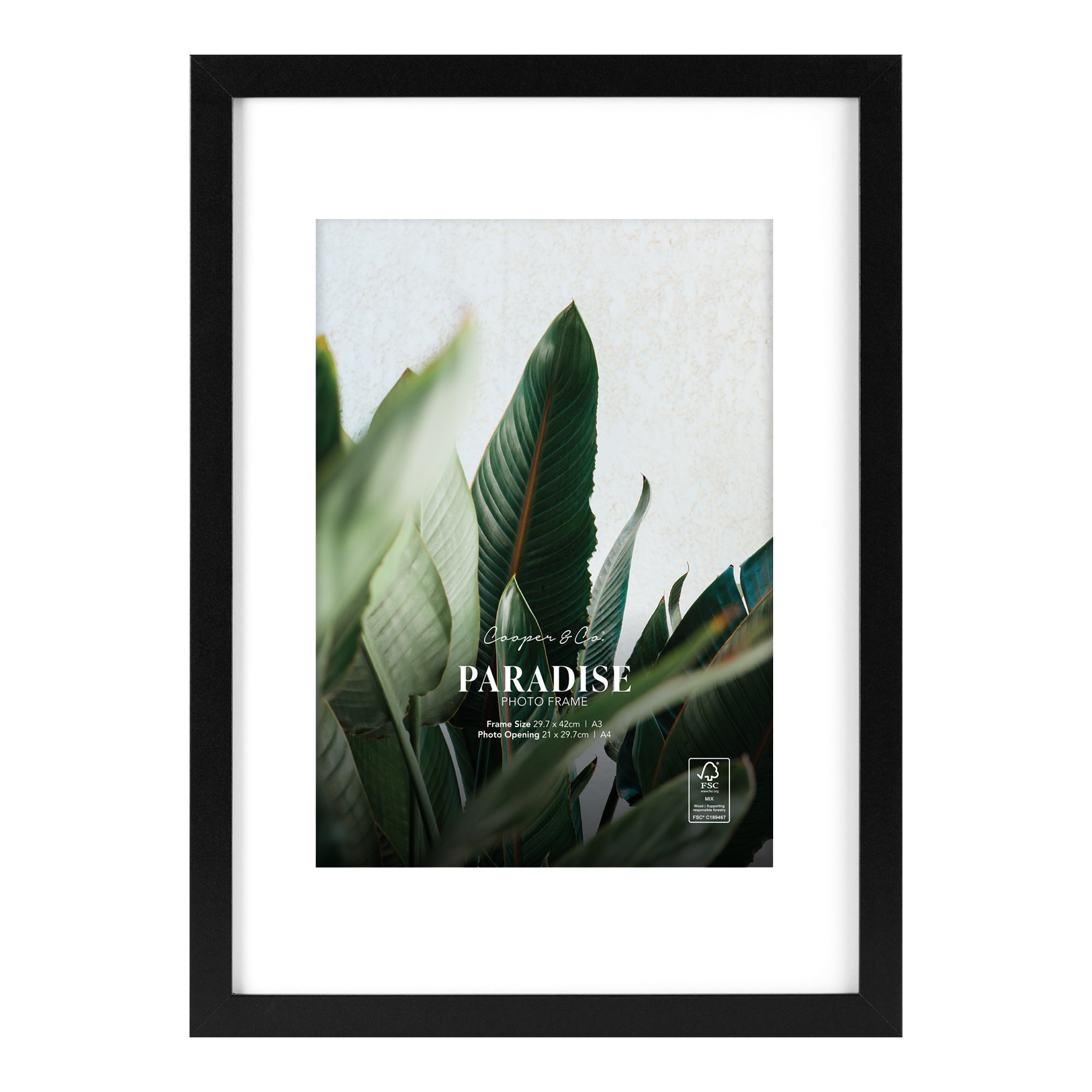 furniture, mirror, and home decor