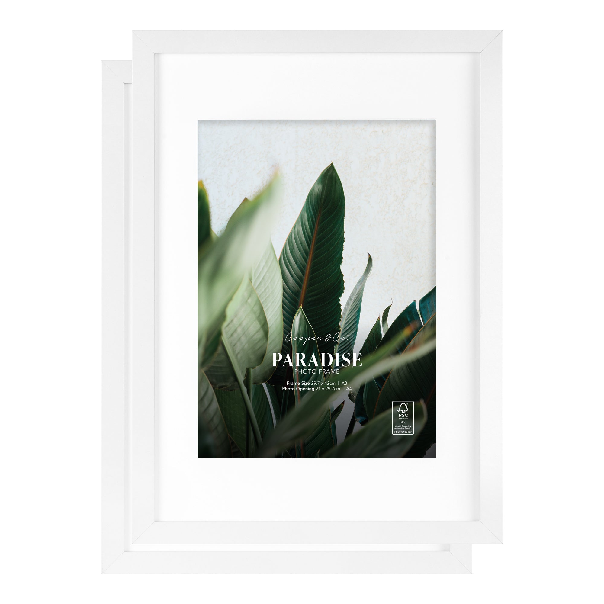 furniture, mirror, and home decor