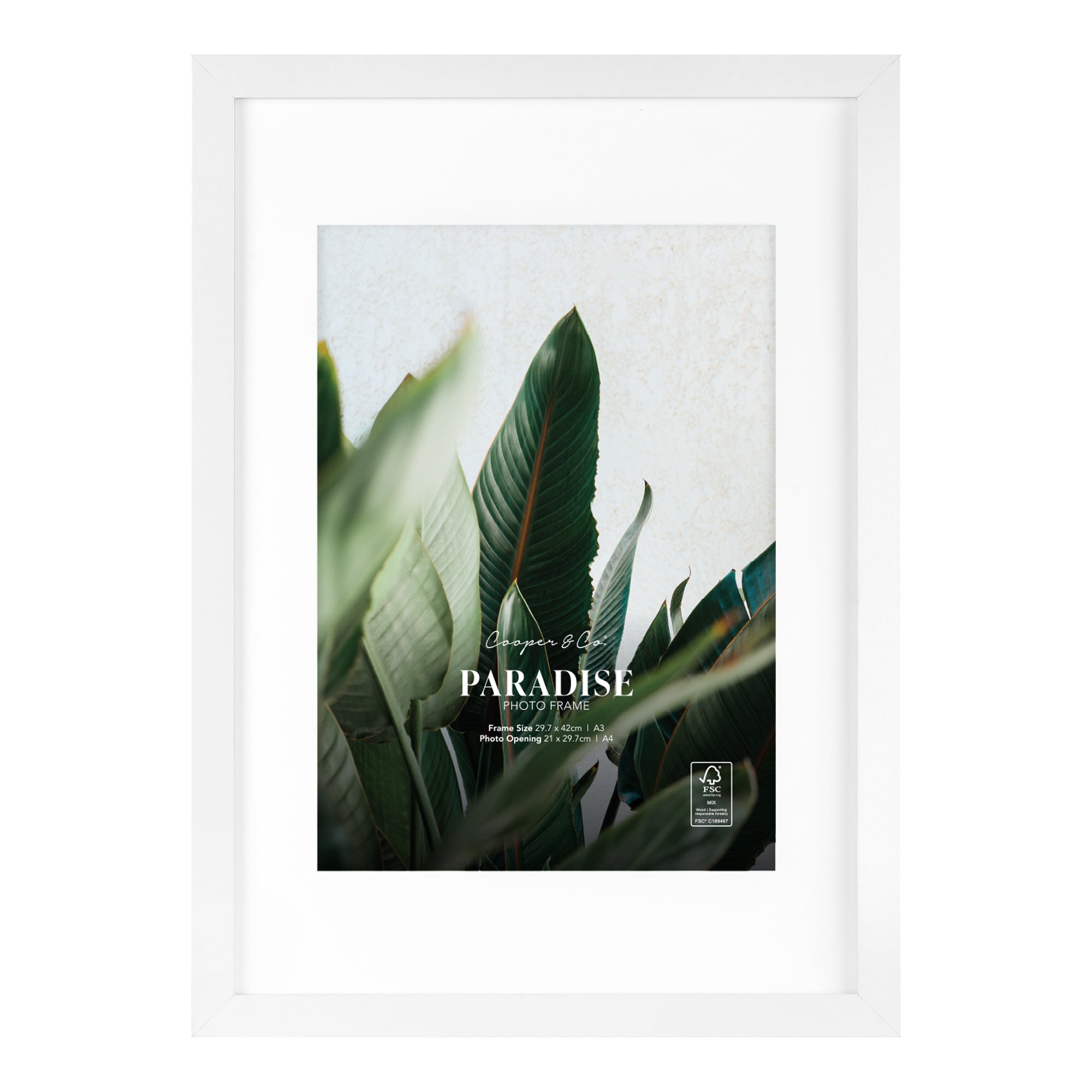 furniture, mirror, and home decor