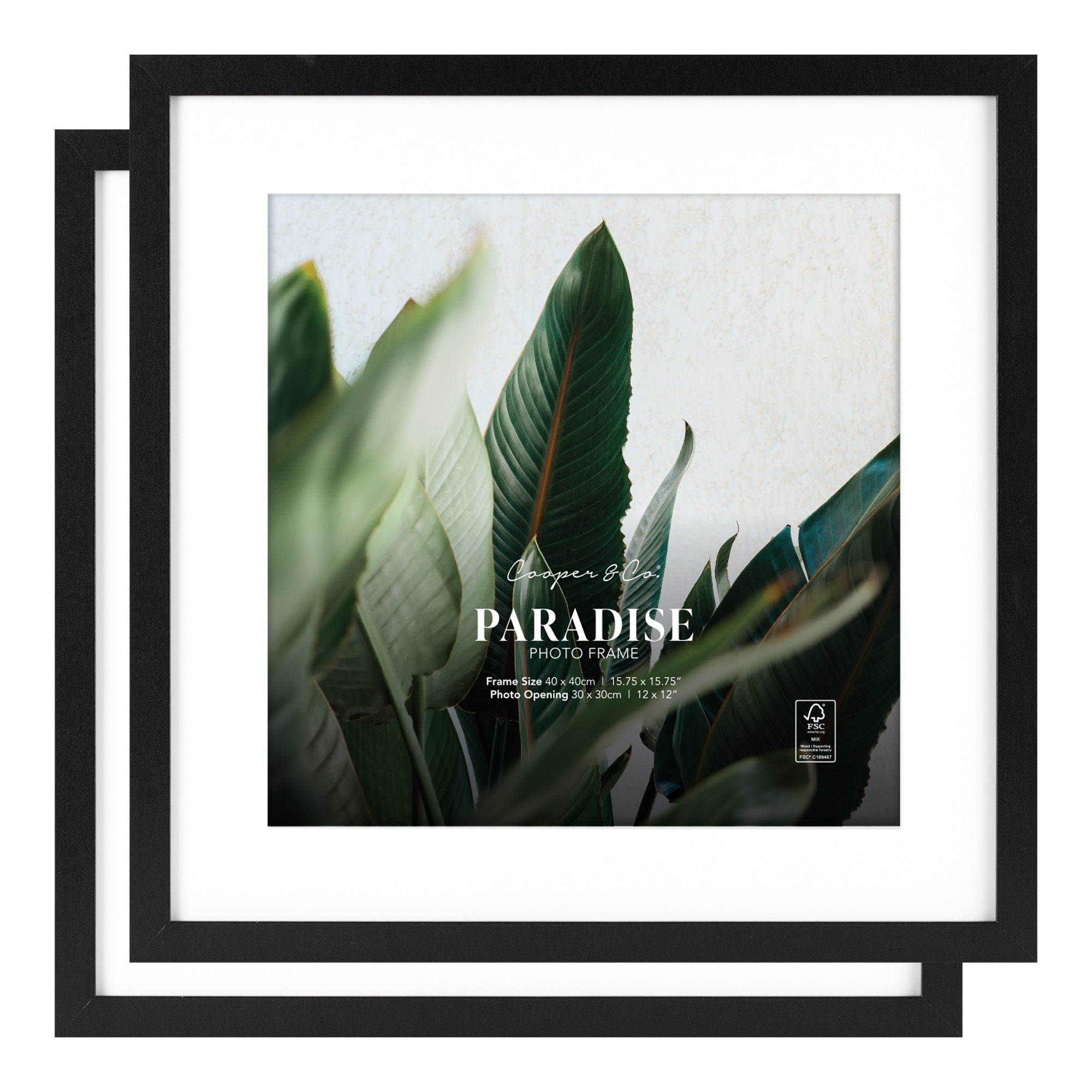 furniture, mirror, and home decor