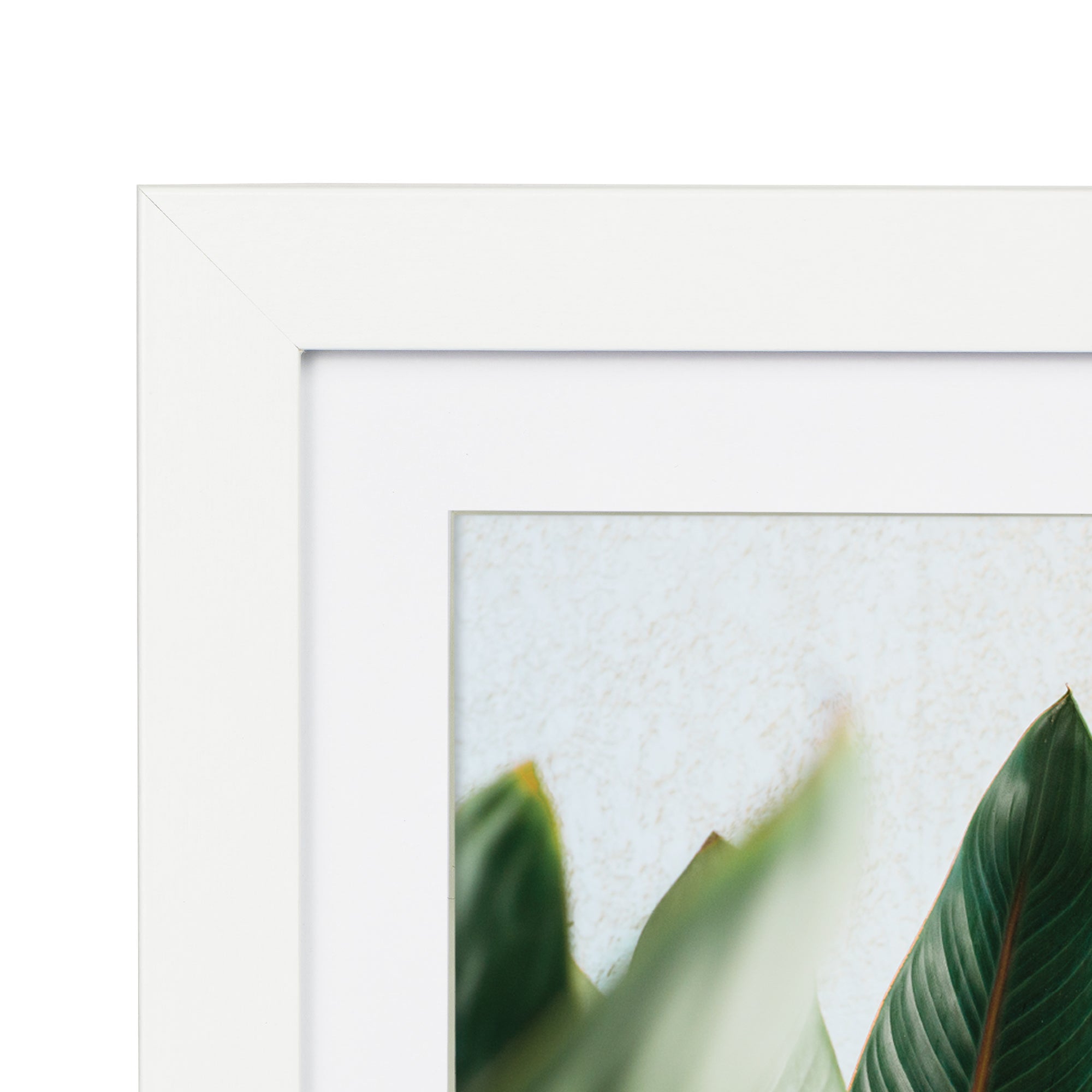 furniture, mirror, and home decor