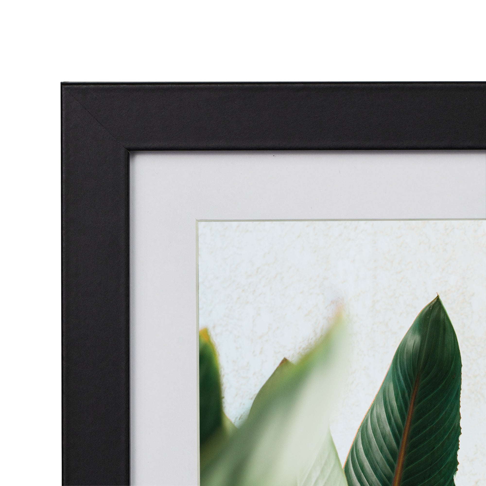 furniture, mirror, and home decor
