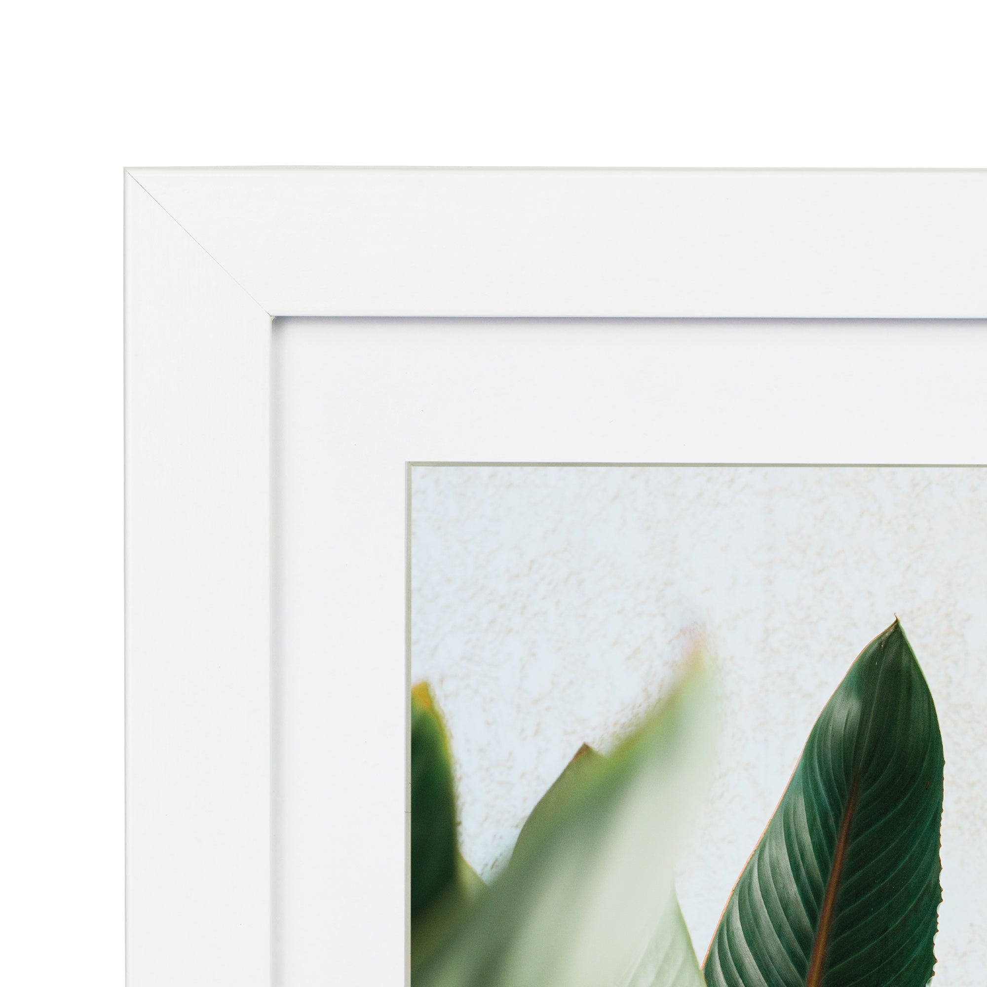 furniture, mirror, and home decor