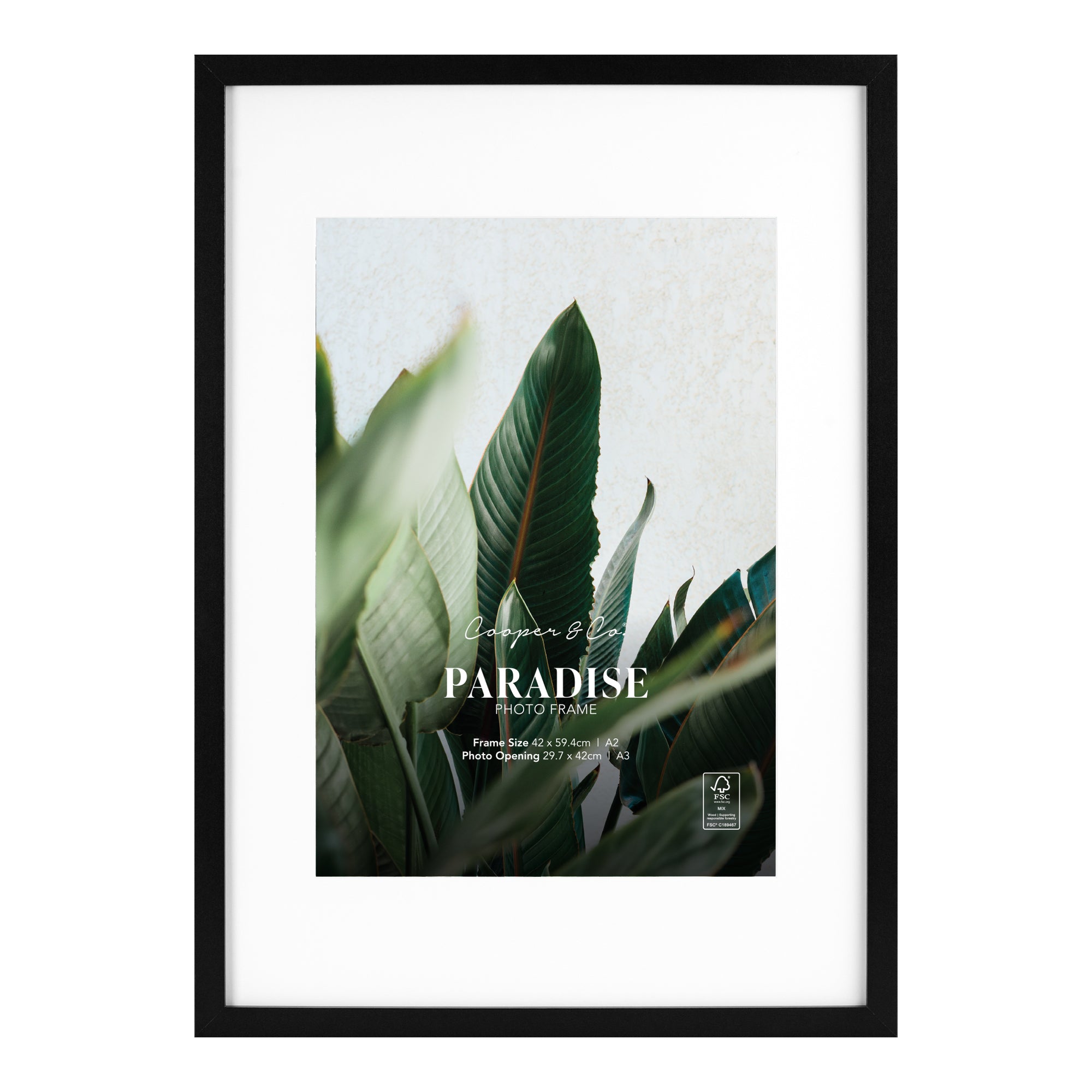 furniture, mirror, and home decor