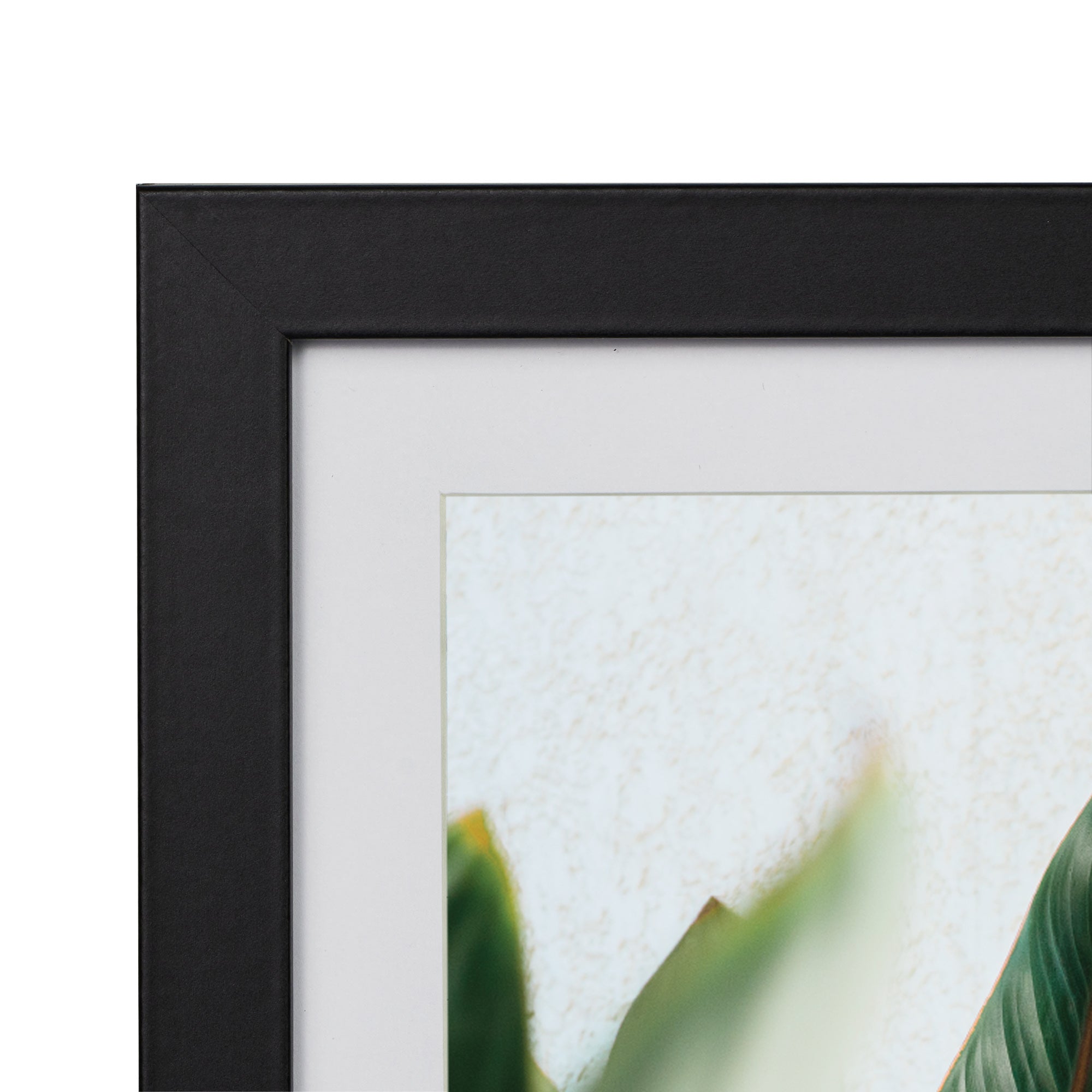 furniture, mirror, and home decor