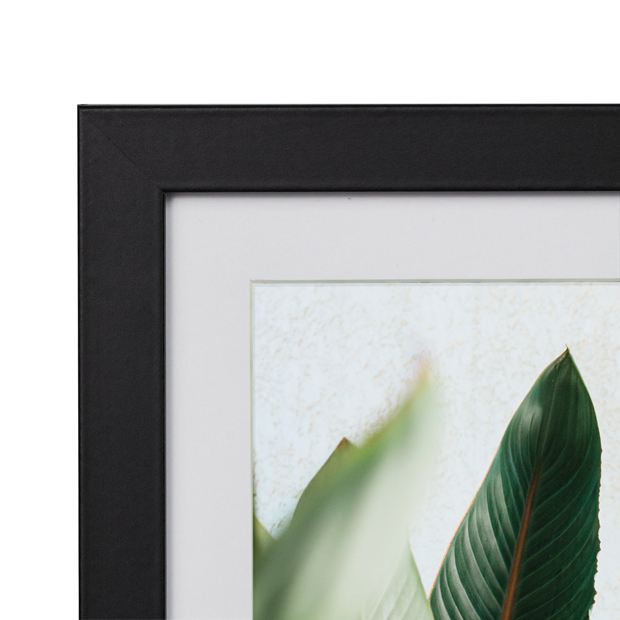 furniture, mirror, and home decor