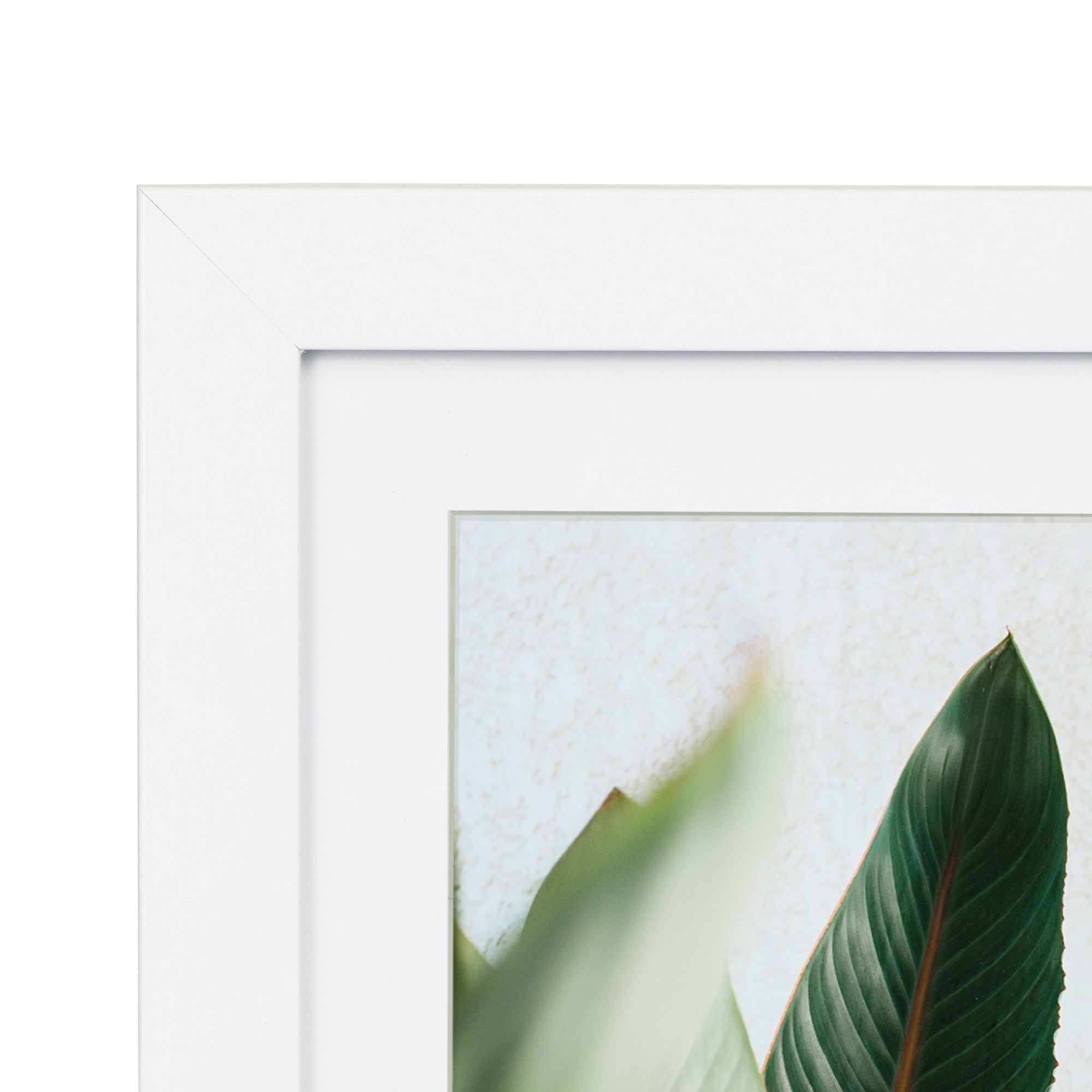 furniture, mirror, and home decor