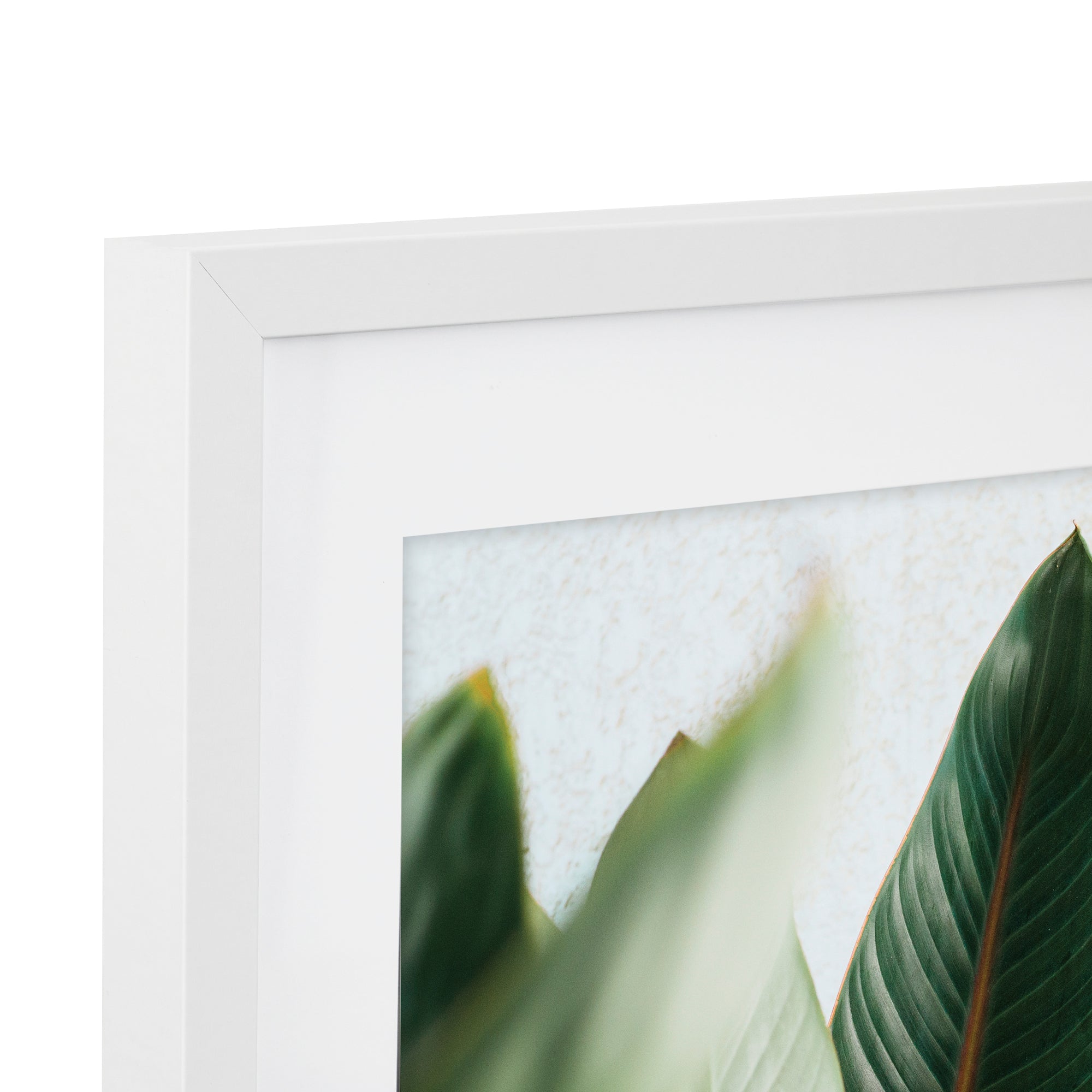 furniture, mirror, and home decor