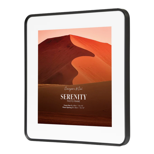 Curved Profile Metal Frames