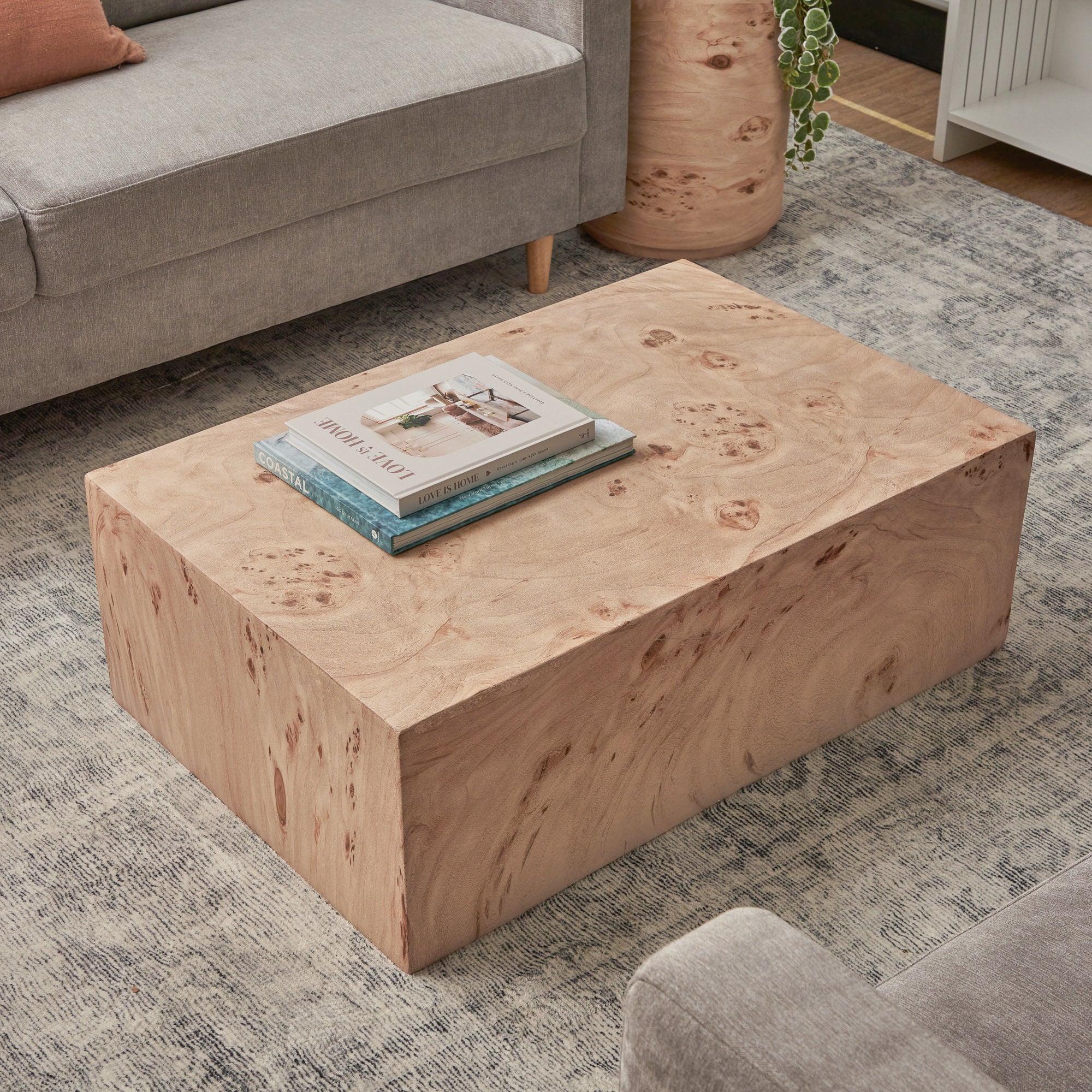 furniture, mirror, and home decor