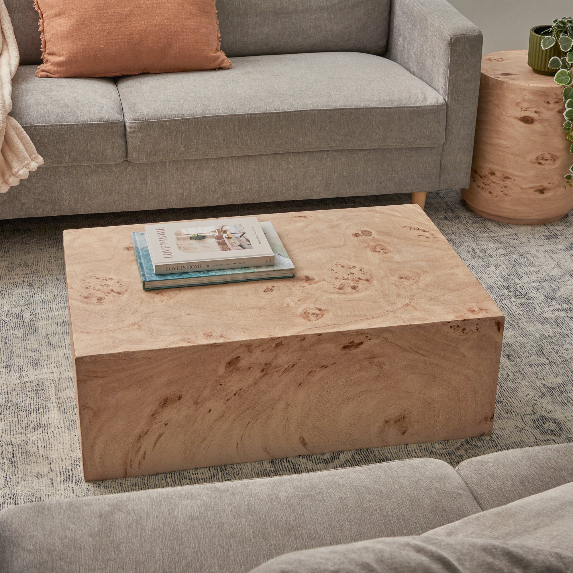 furniture, mirror, and home decor
