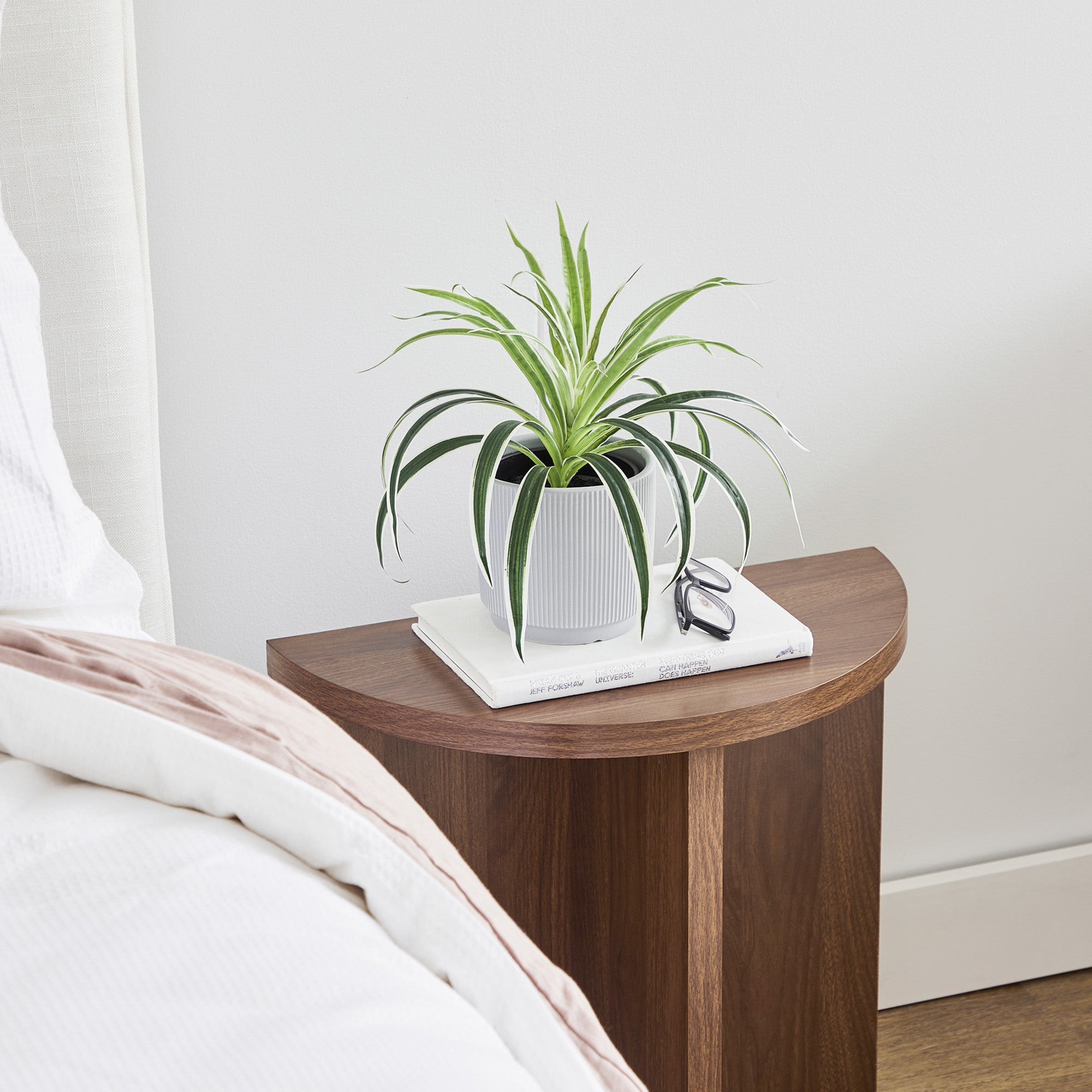 Norquay 48cm Side Table Walnut