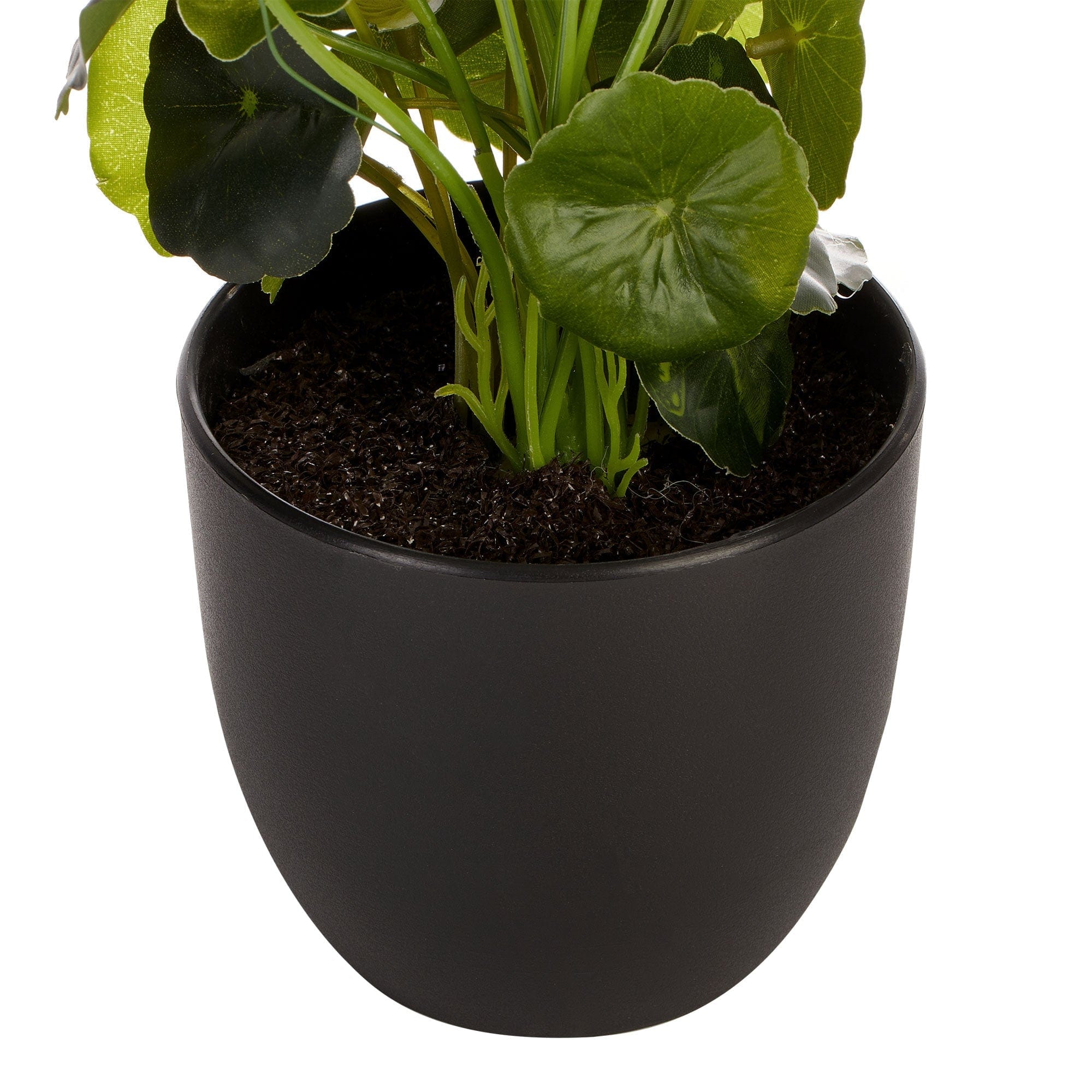 Cooper & Co. Homewares Artificial Plants 24Cm Artificial Money Bag Plant