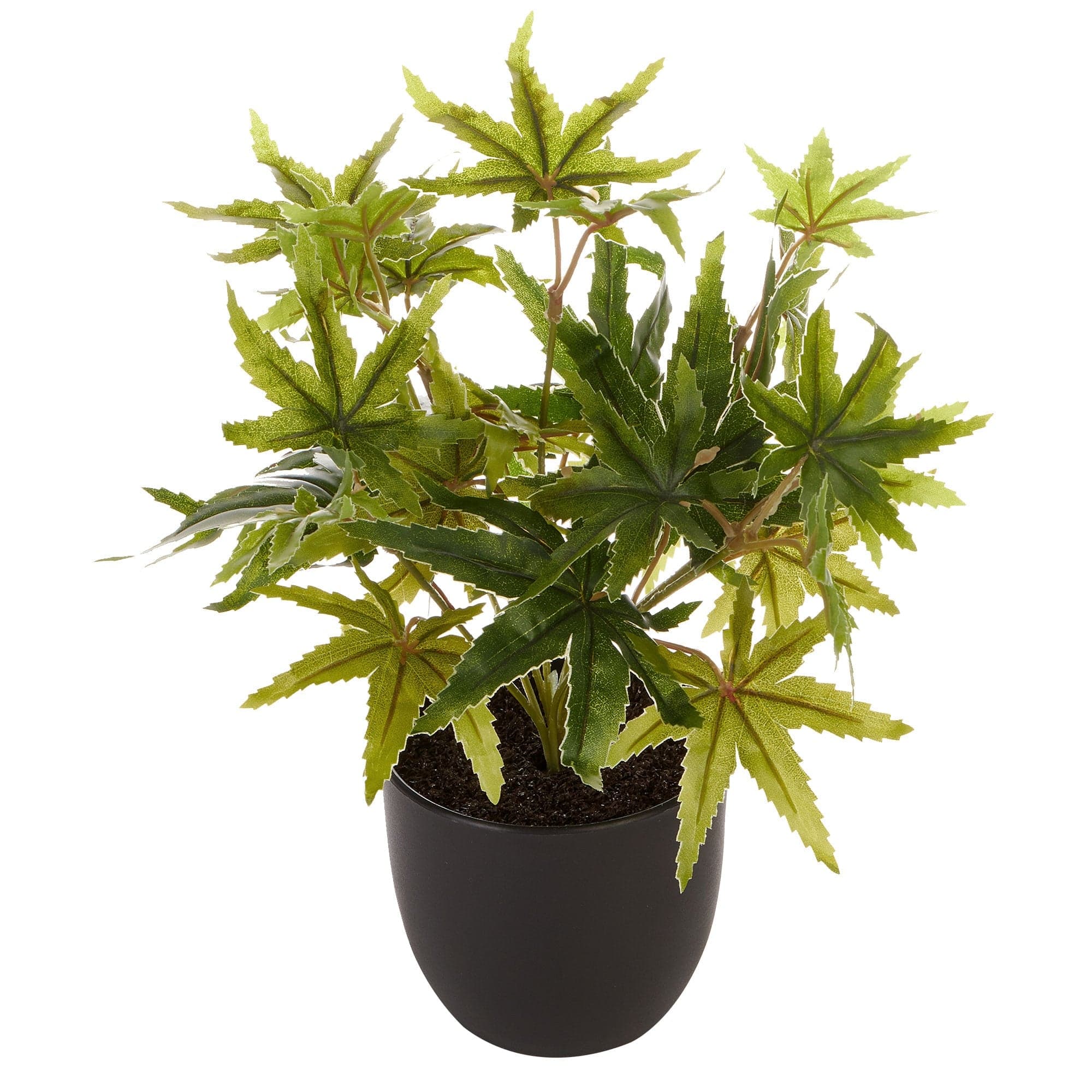 Cooper & Co. Homewares Artificial Plants 24Cm Tall Potted Artificial Maple Decor Fake Plant Indoor