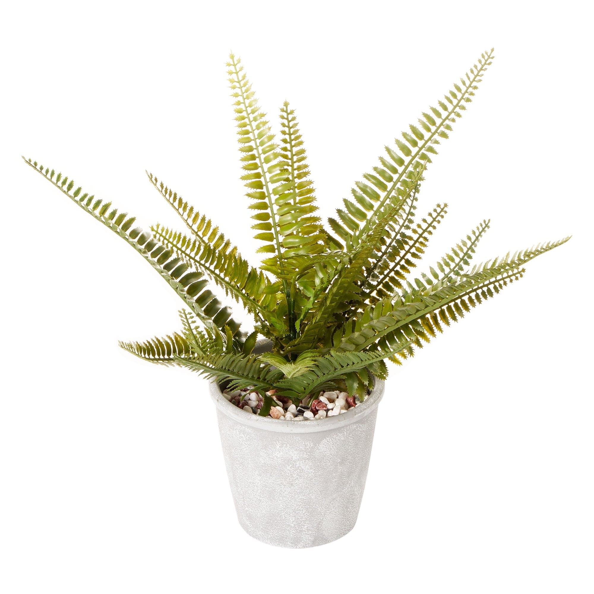 Cooper & Co. Homewares Artificial Plants Cooper & Co Boston Fern Green 30 cm