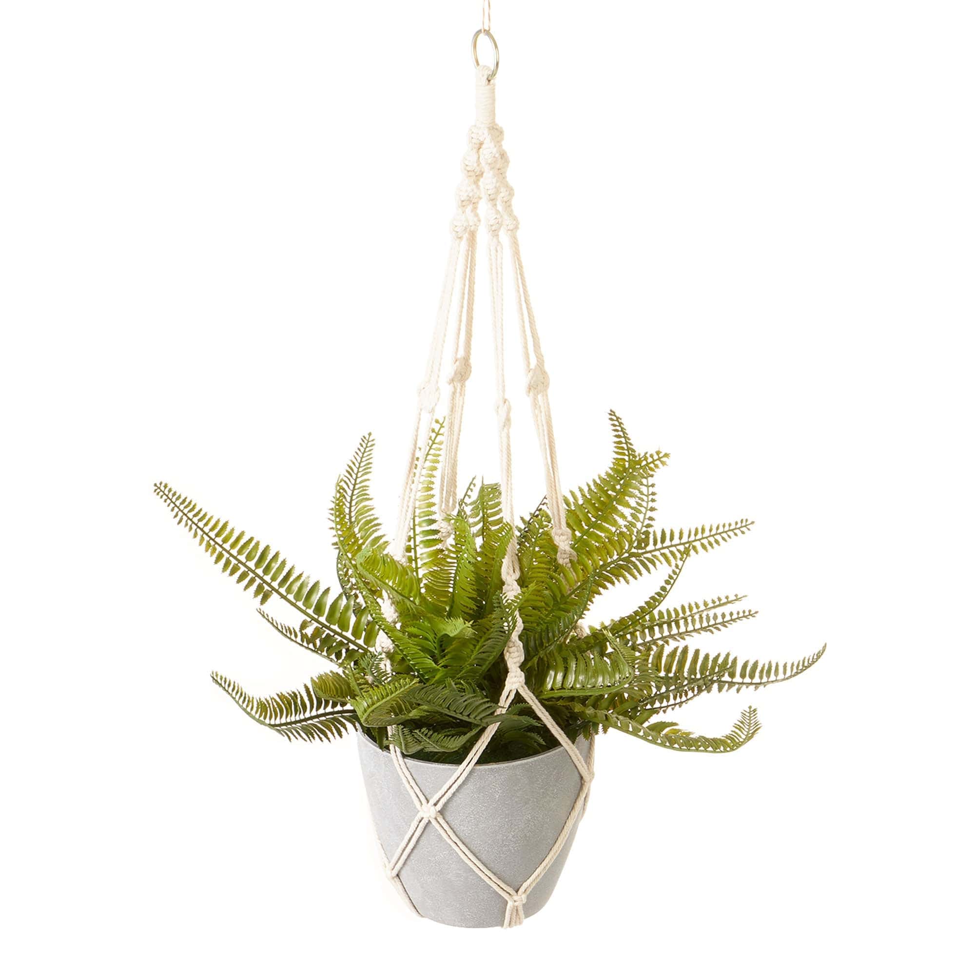 Cooper & Co. Homewares Artificial Plants Cooper & Co Hanging Boston Fern Green