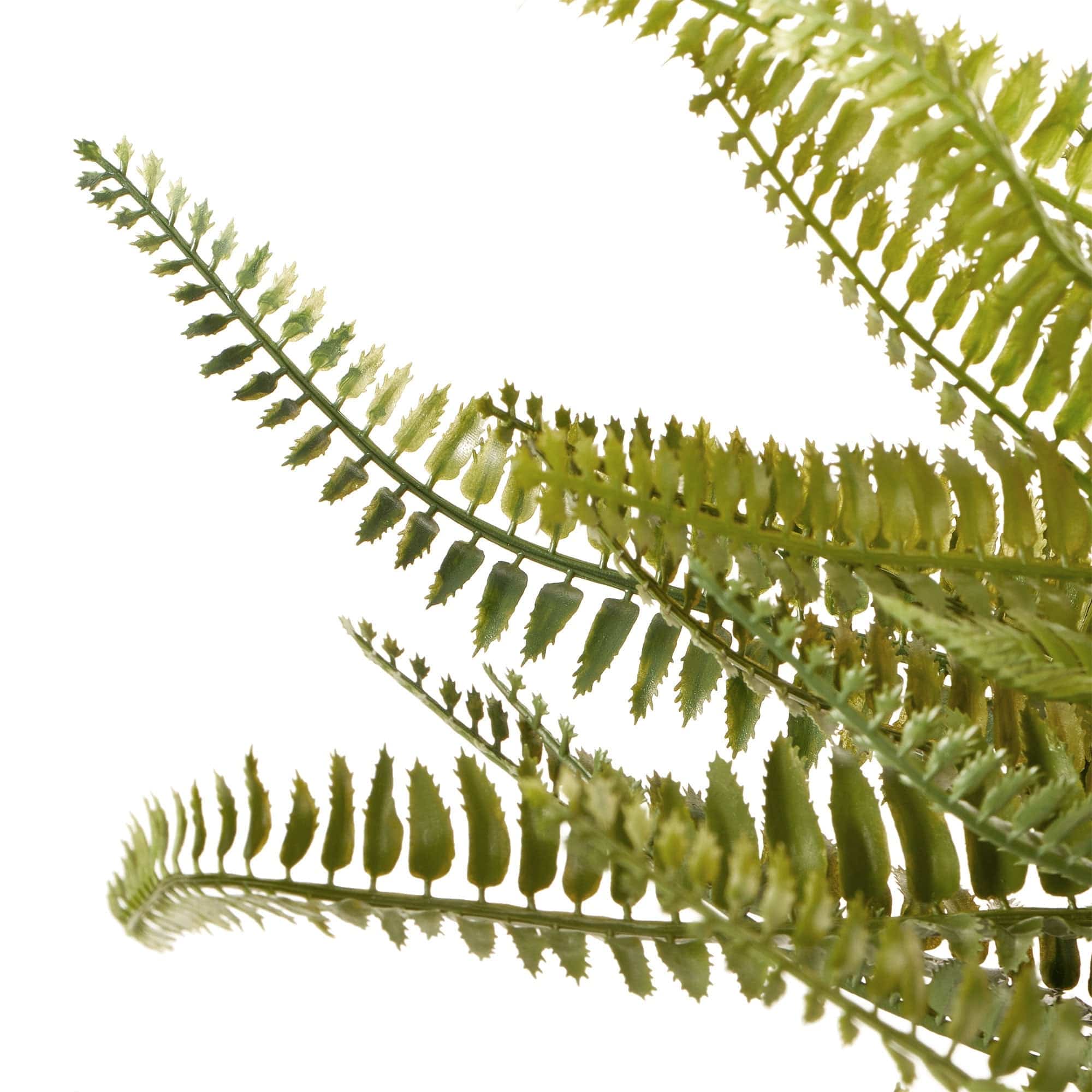 Cooper & Co. Homewares Artificial Plants Cooper & Co Hanging Boston Fern Green