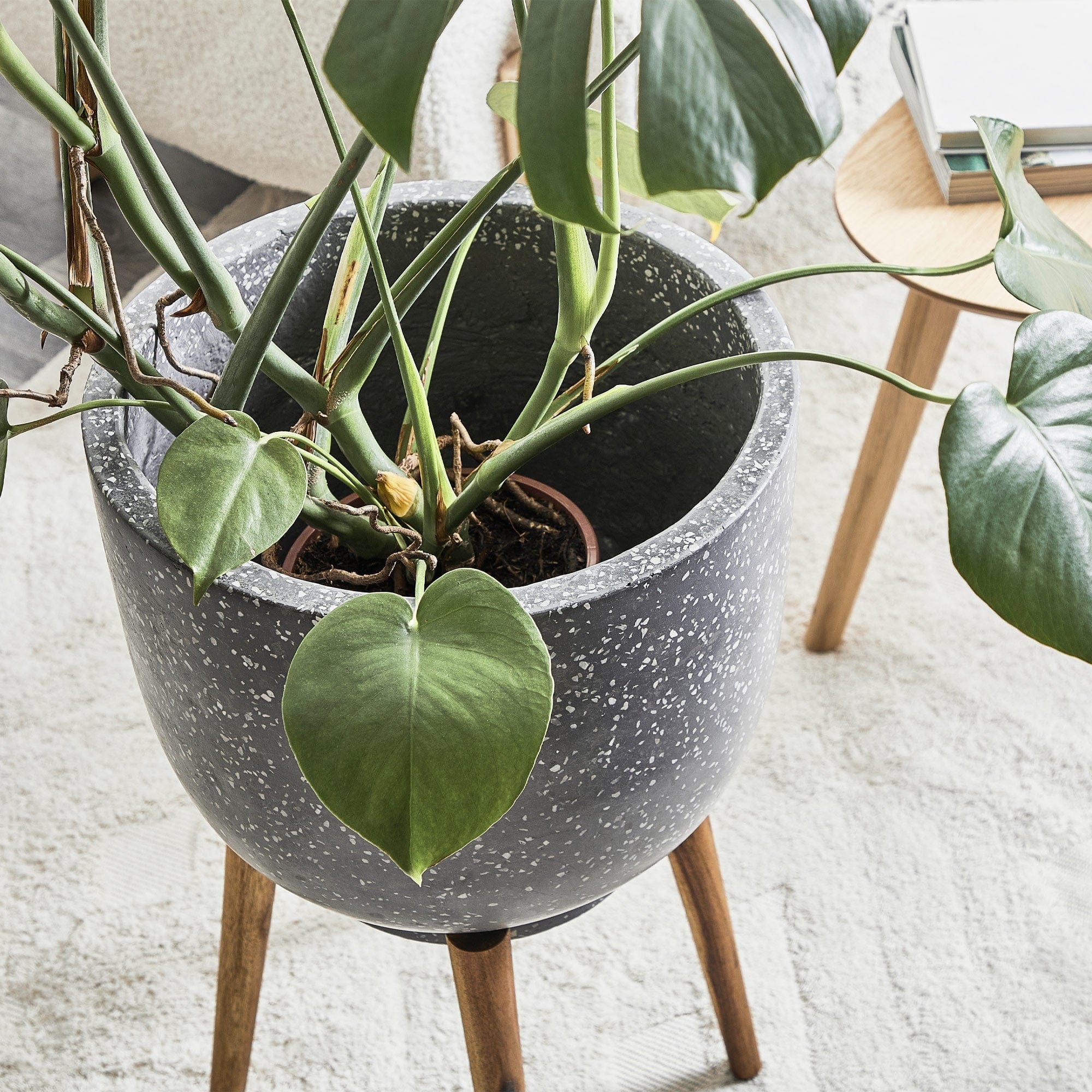 Cooper & Co. Homewares Planters Cooper & Co.58cm Terrazzo Pot On Acacia Wood Stand Grey